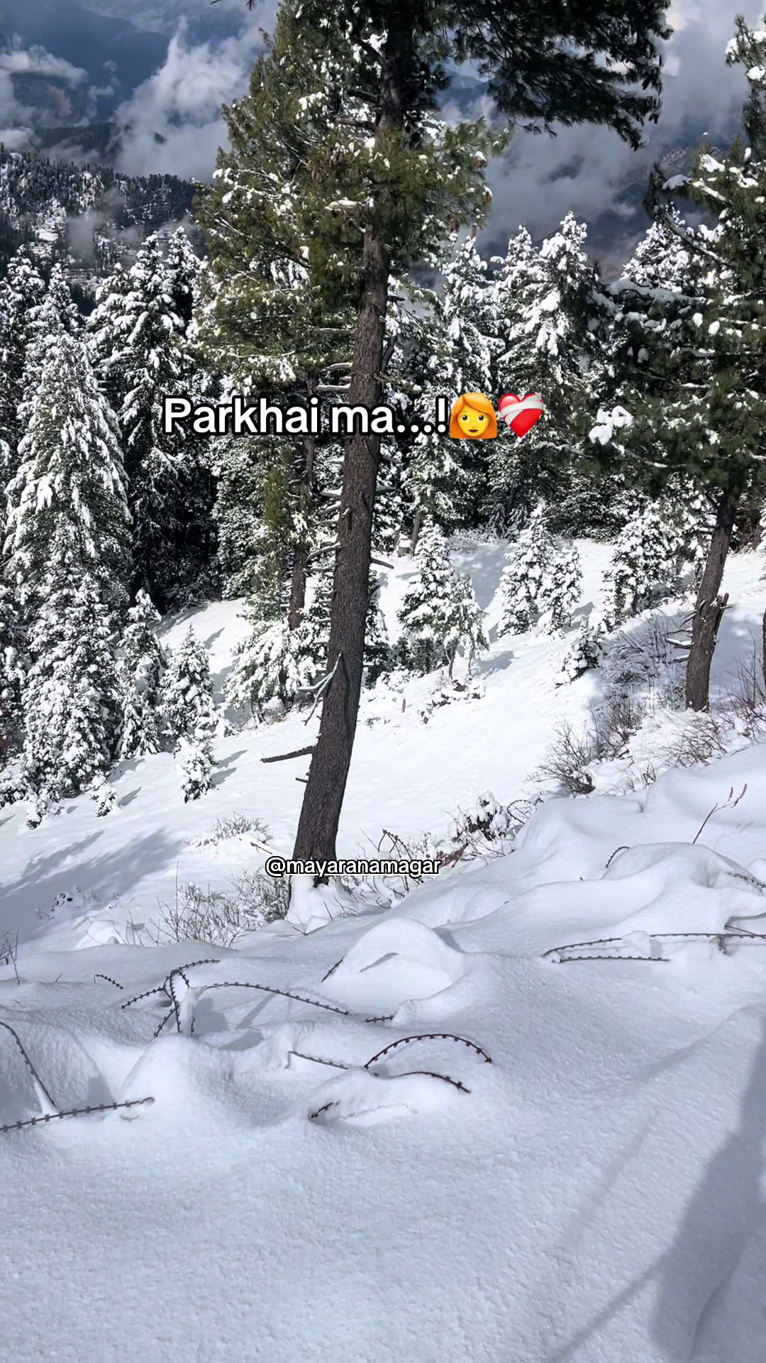 @mayaranamagar555