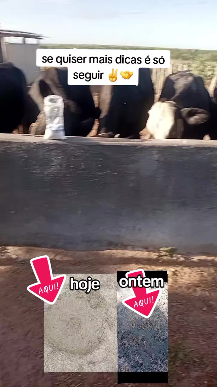 @jocriador