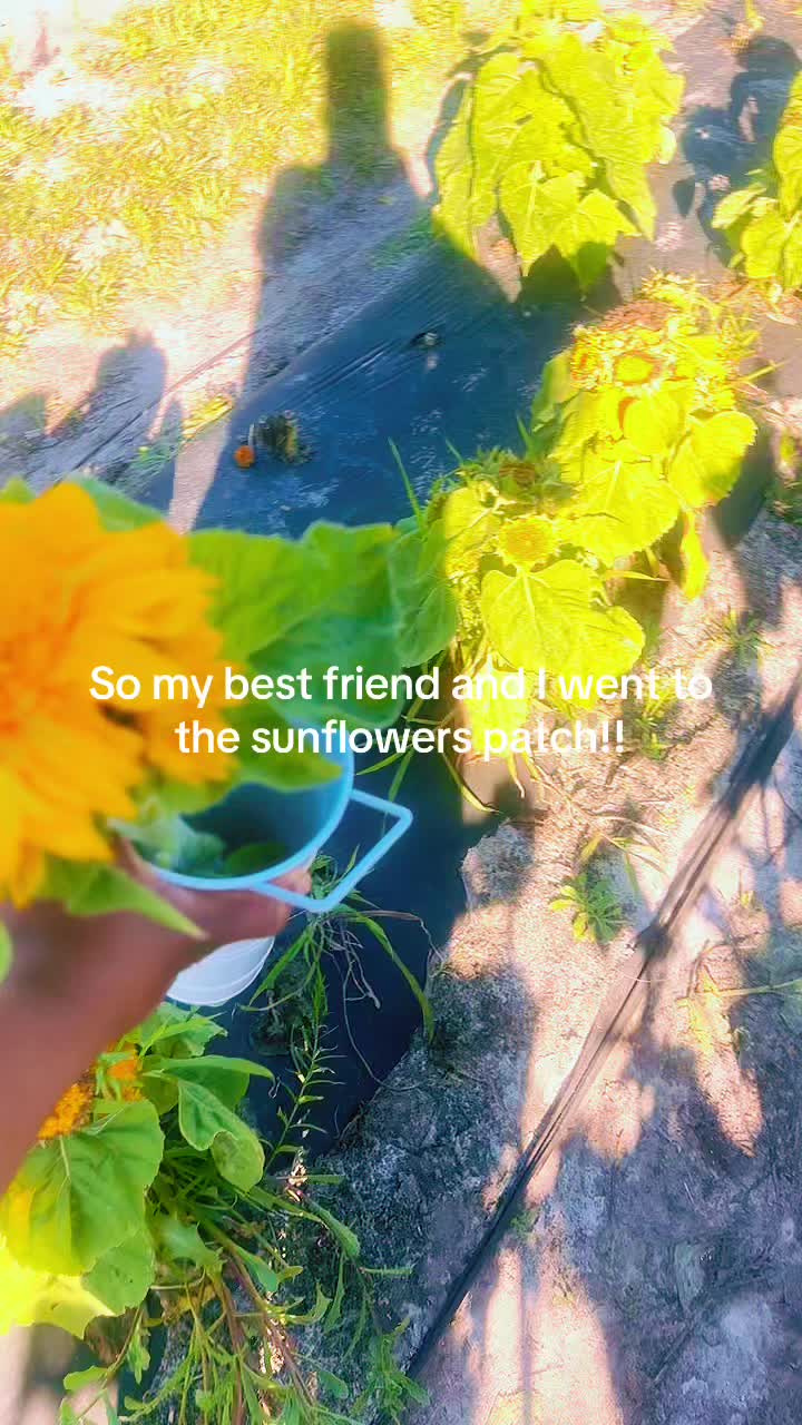 @Neshia