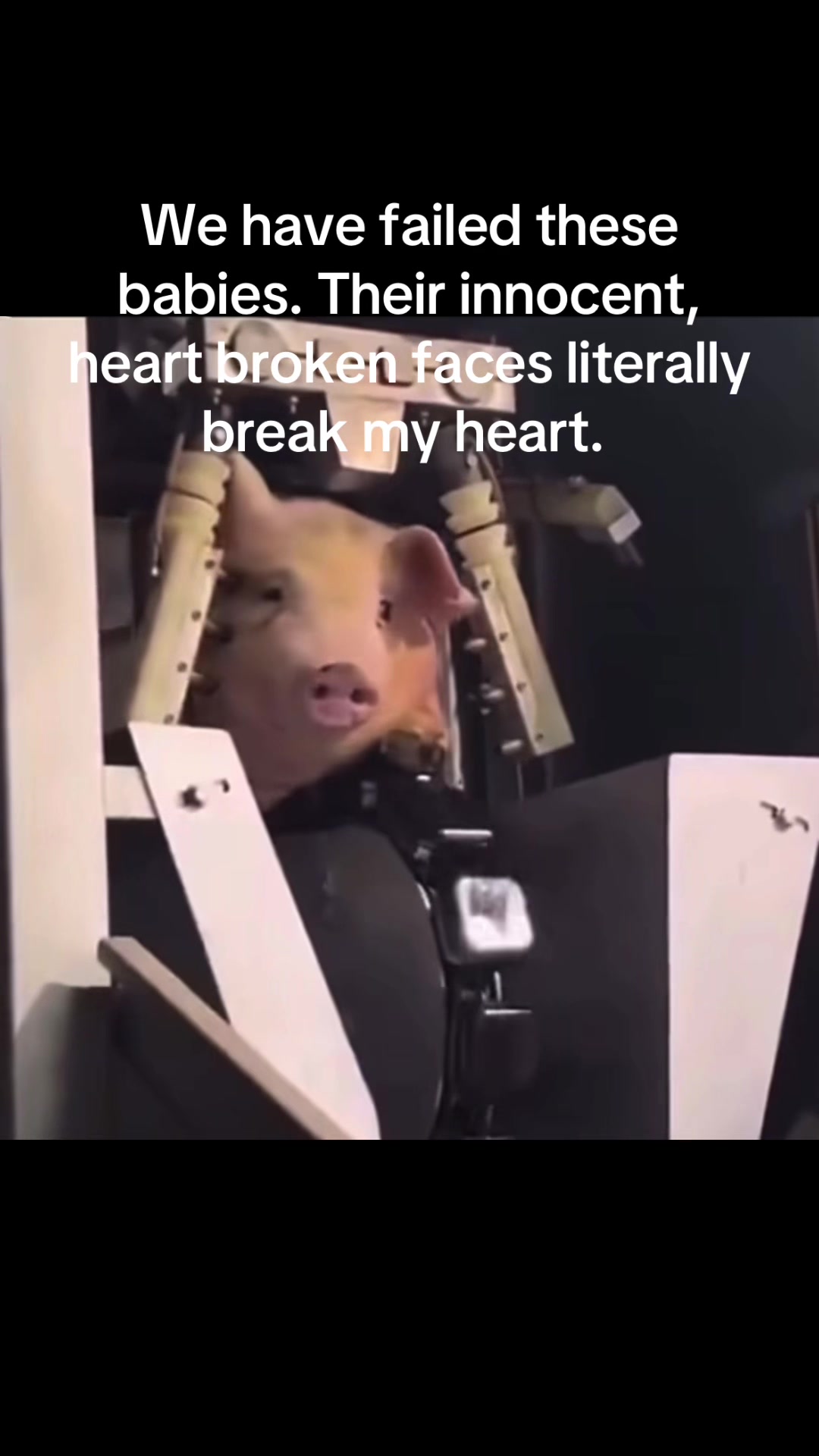 @taylor𓋹