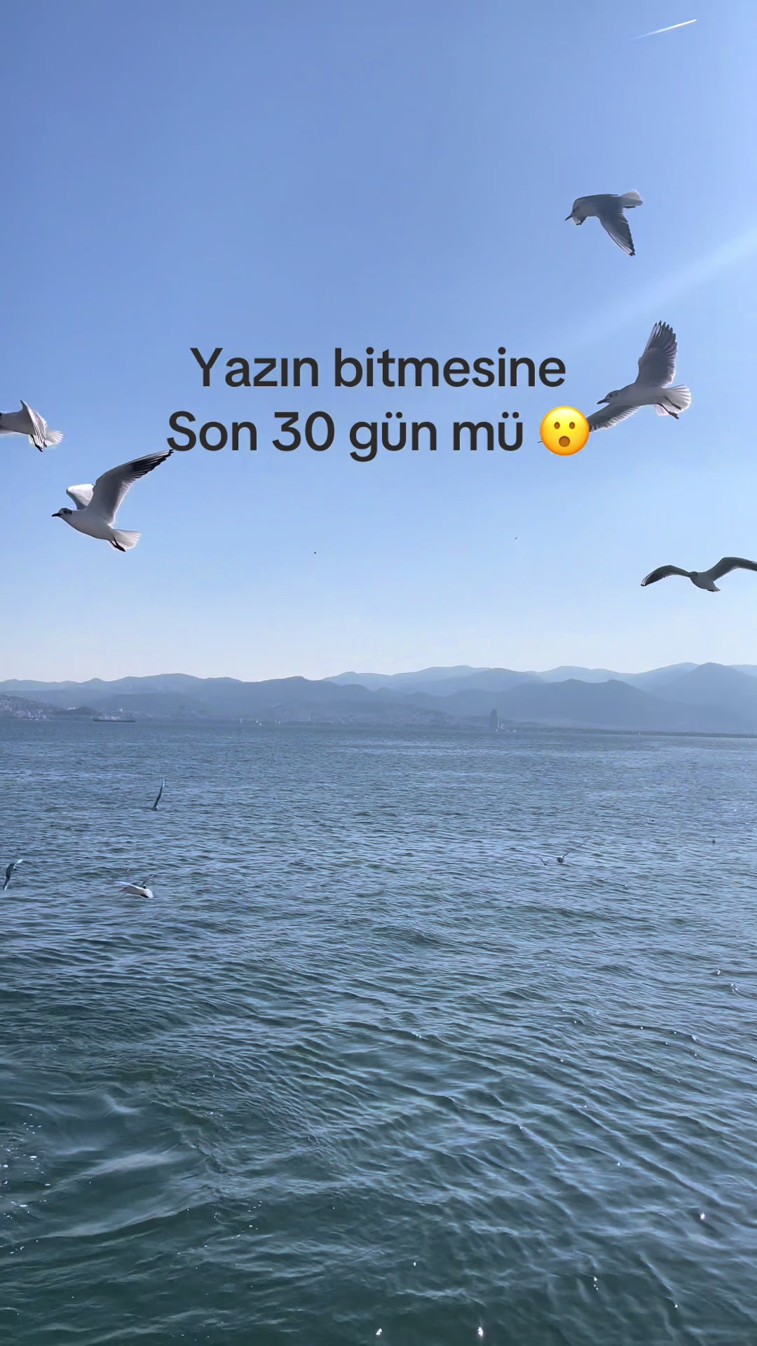 @Sevgi