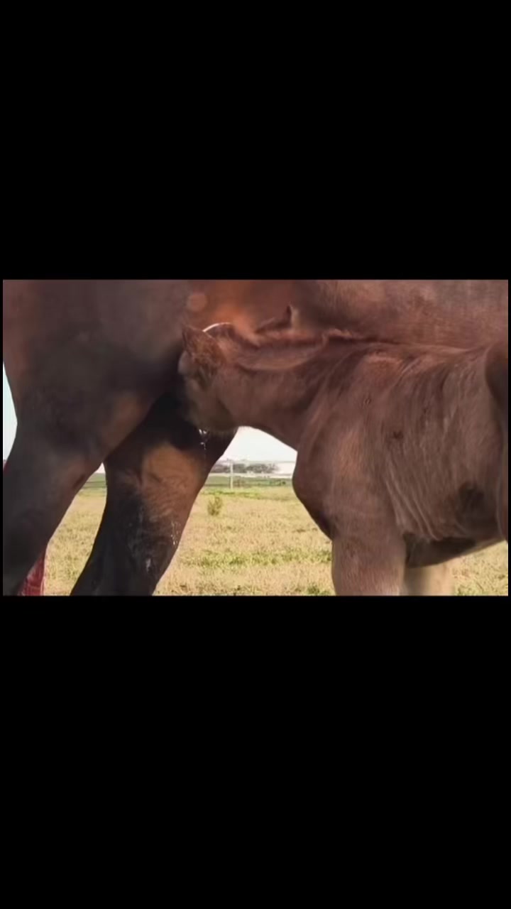 @zonaburrera.uy