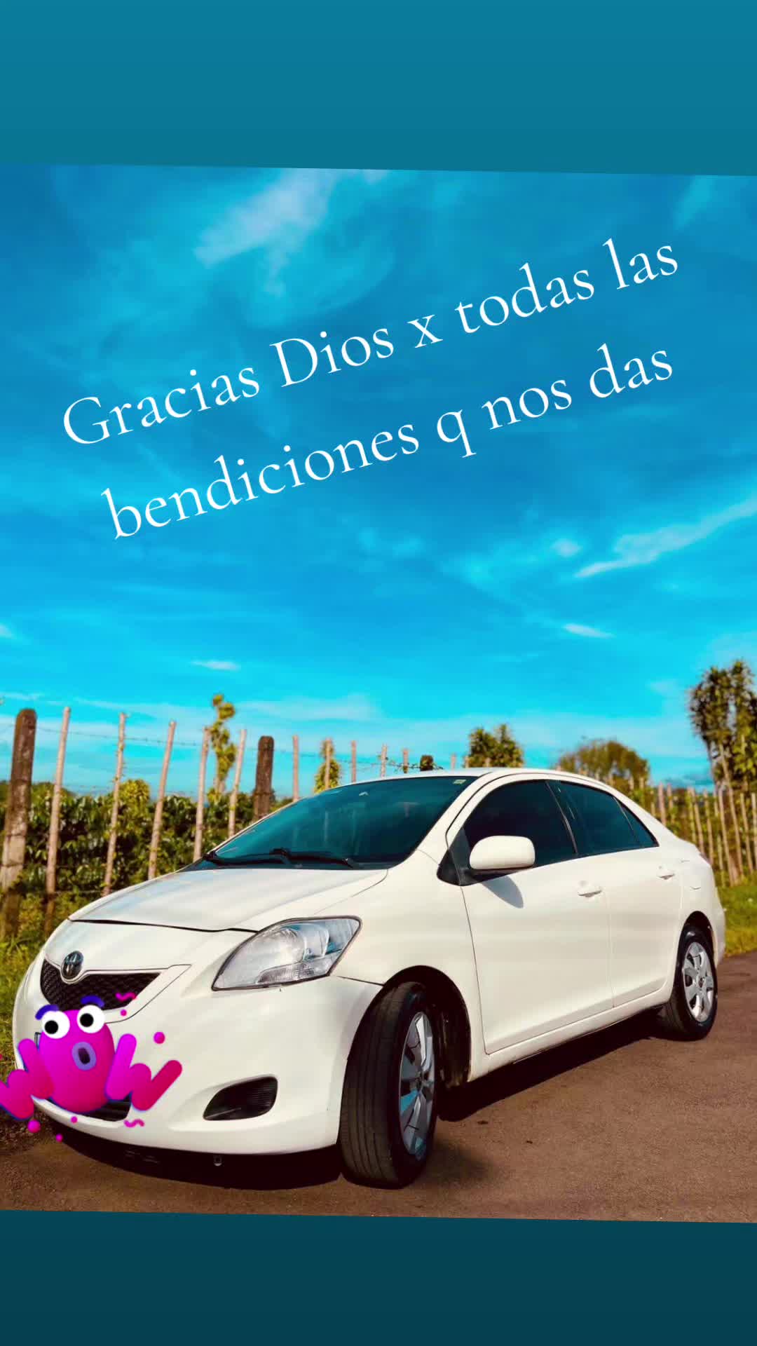 @wacha