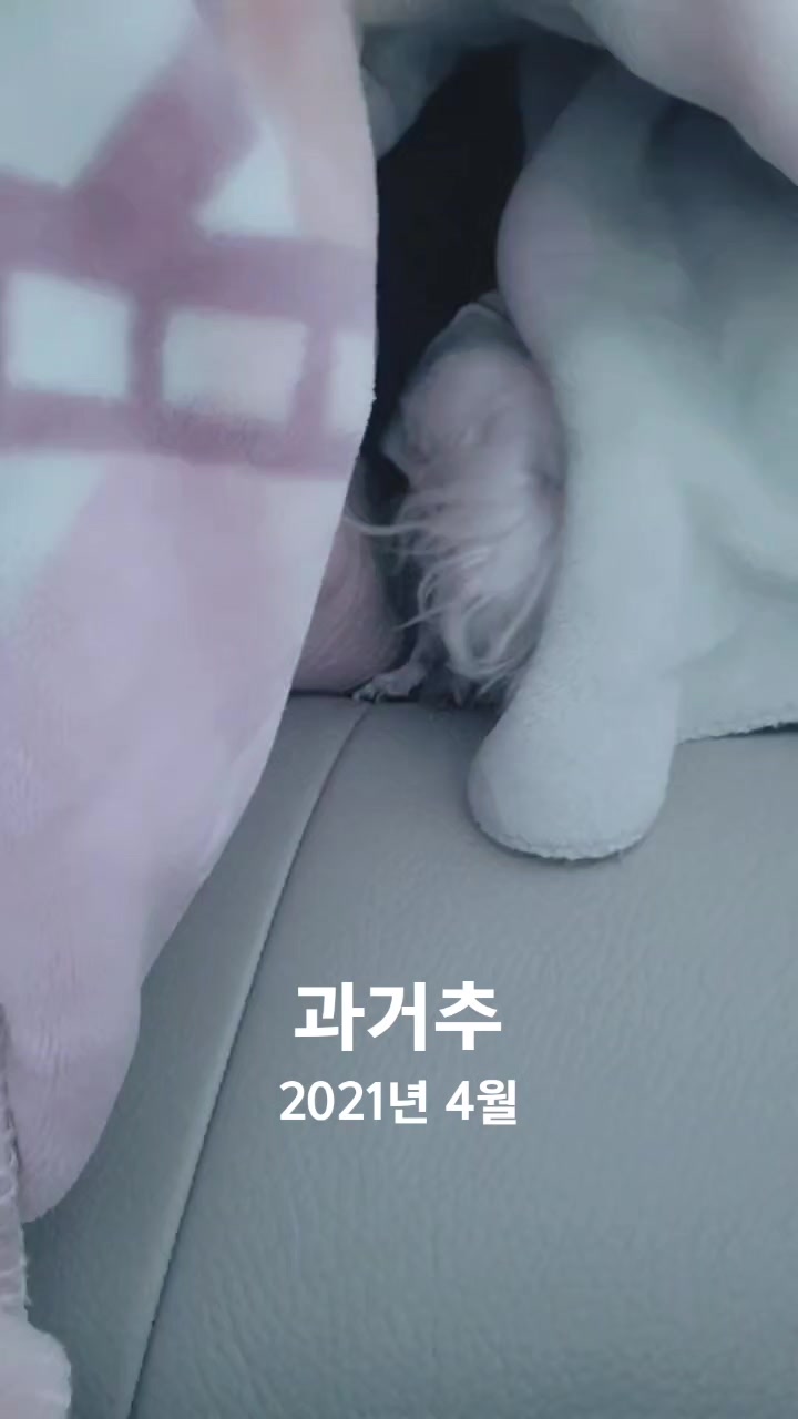 @초롱맘