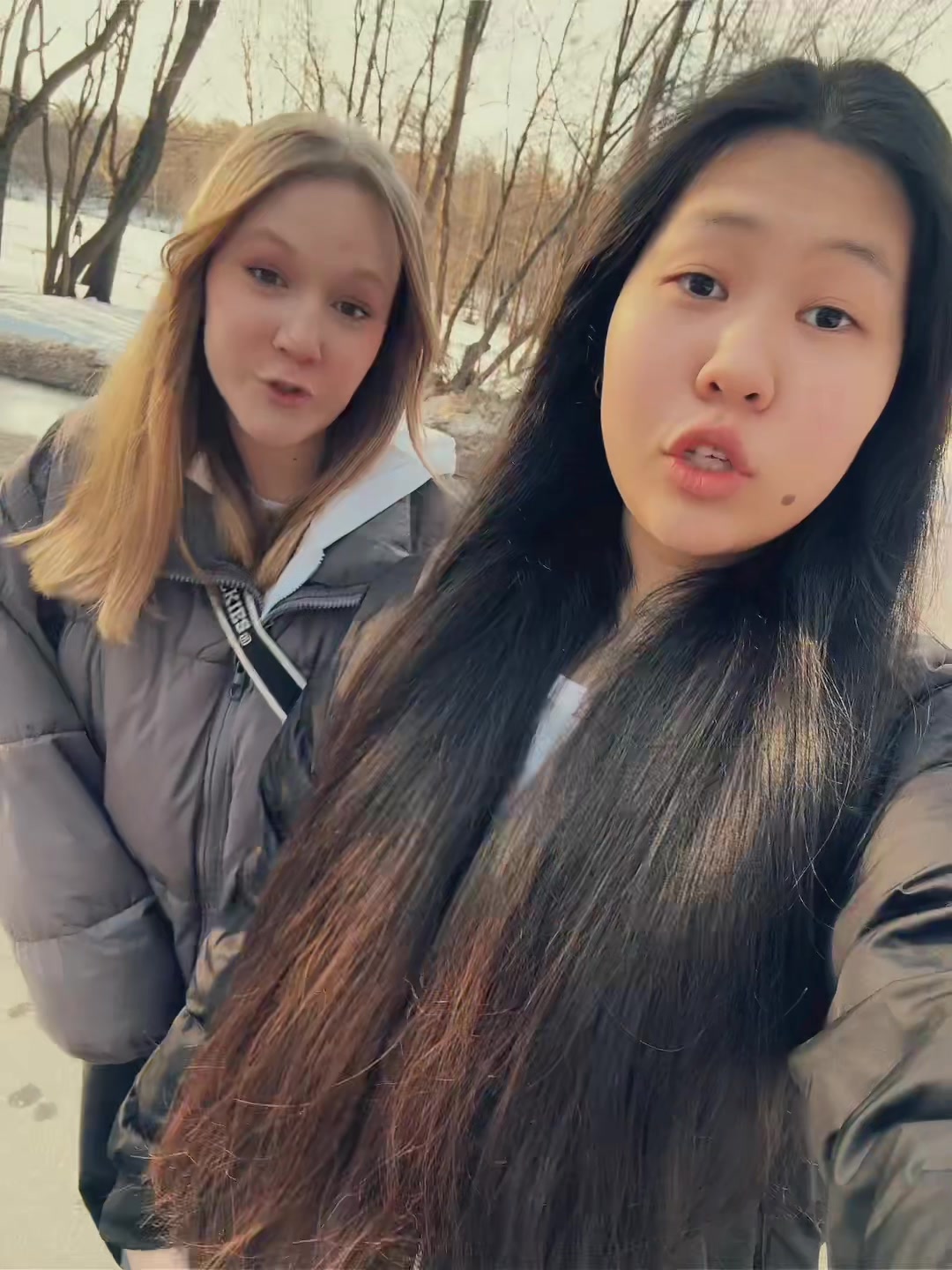 @aibraimova.18
