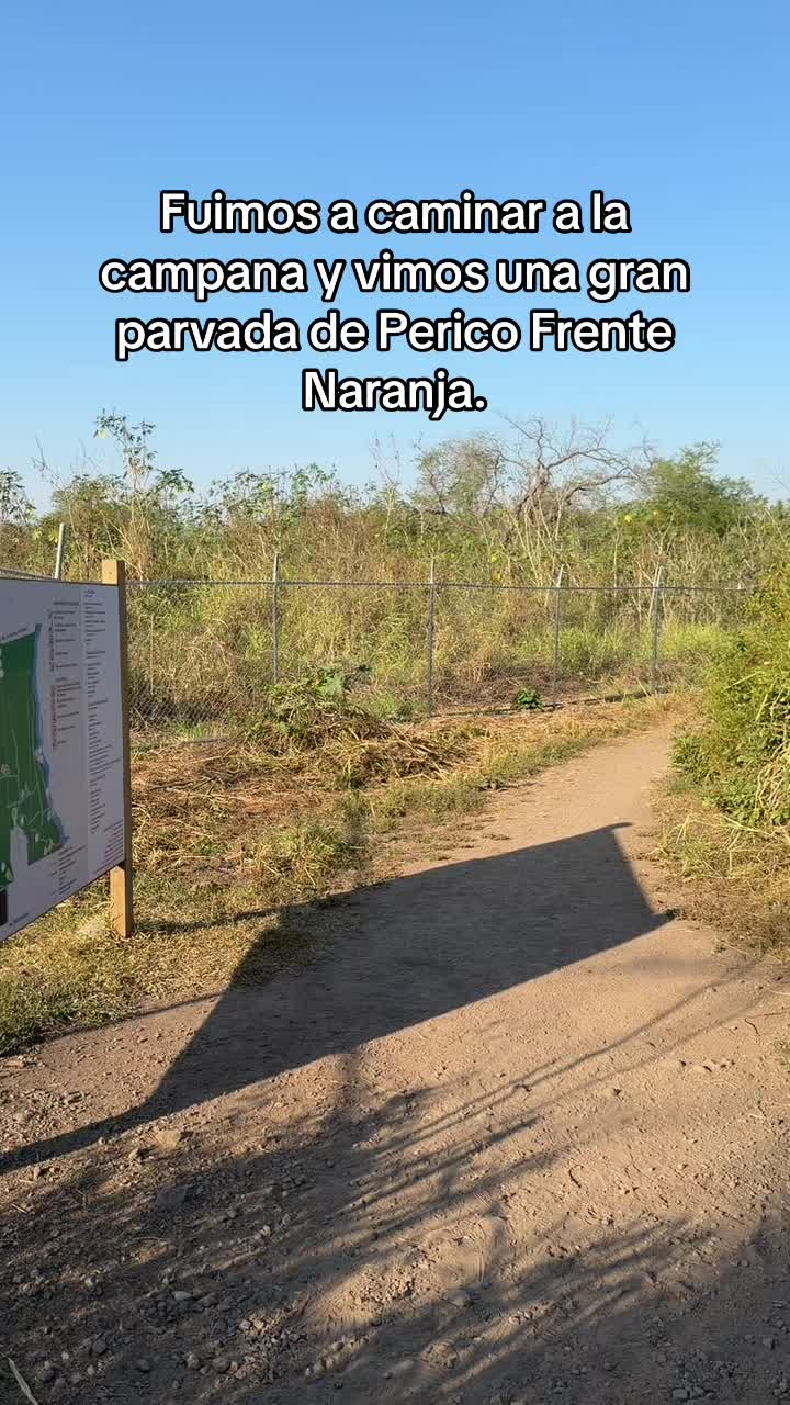 @carlosisbrown