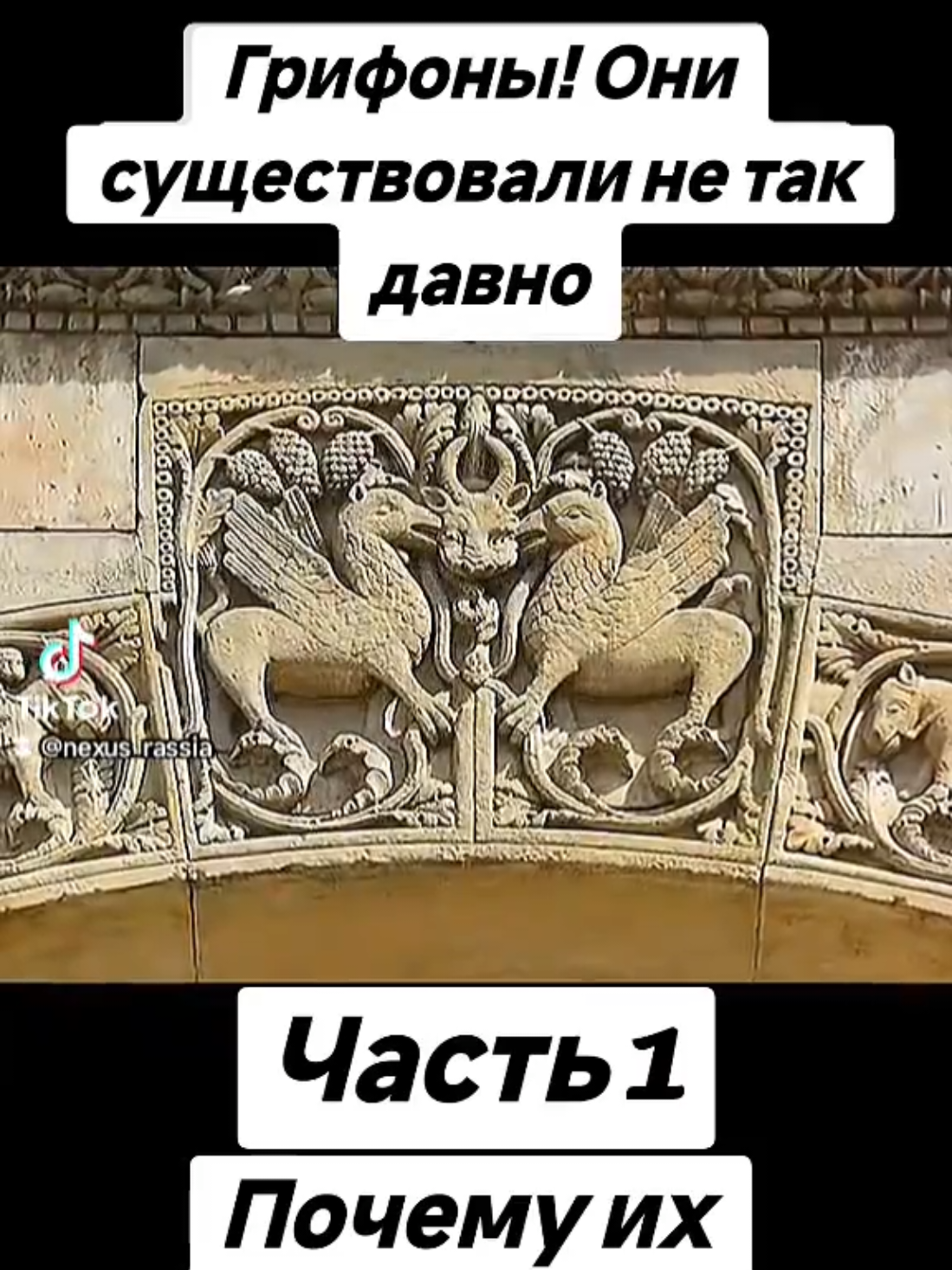 @🇷🇺НЕКСУС🇷🇺