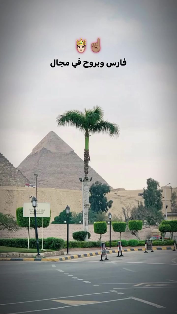 @(برازيلي) بس مصري🐺'