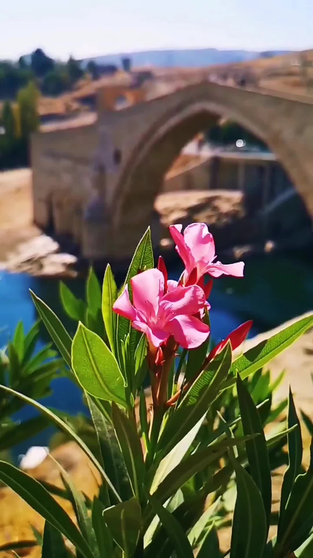 @W&ecirc;nek&ecirc;ş&ecirc; xwezay&ecirc;