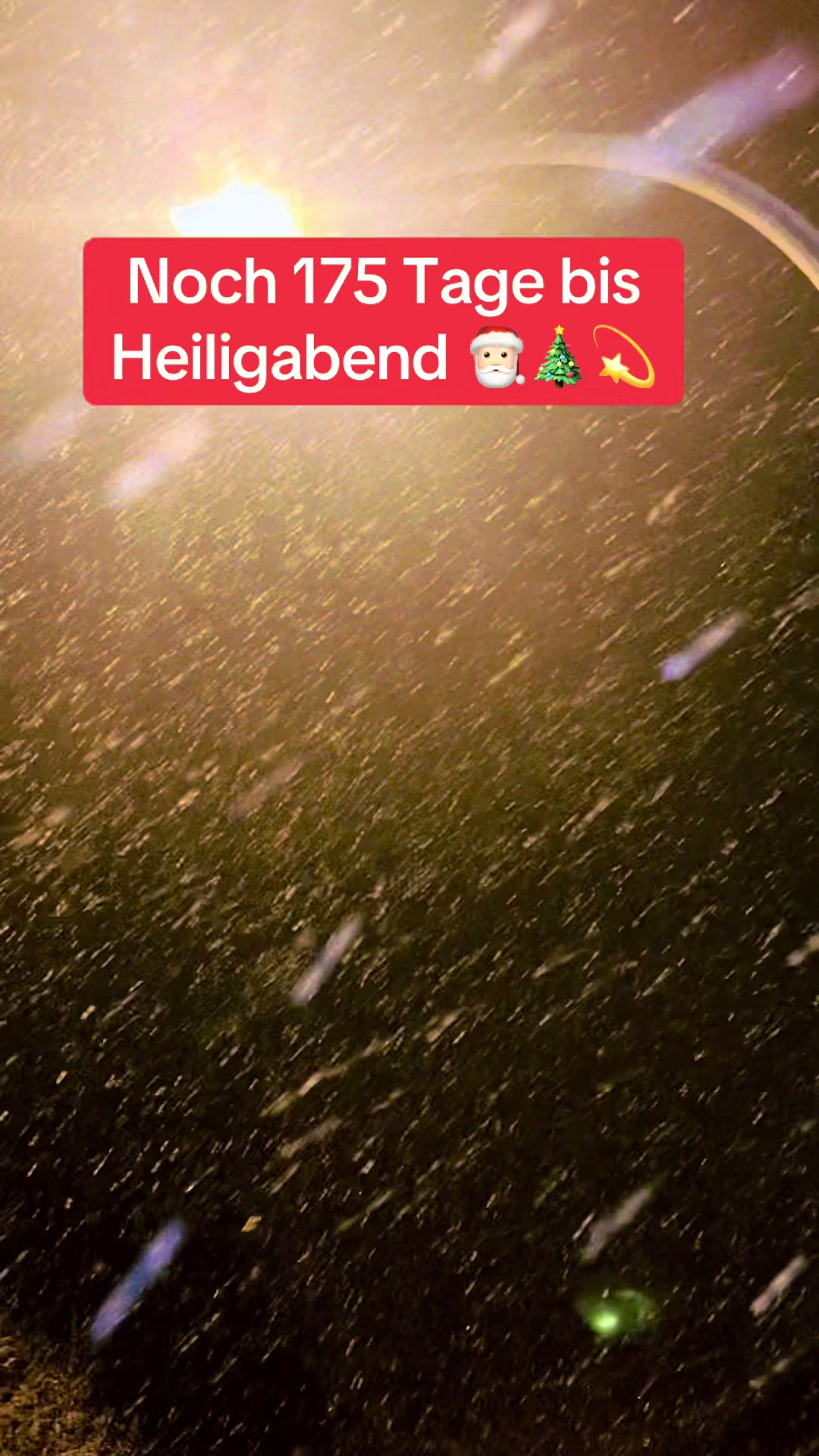@💖Frau von Heidenberg💖