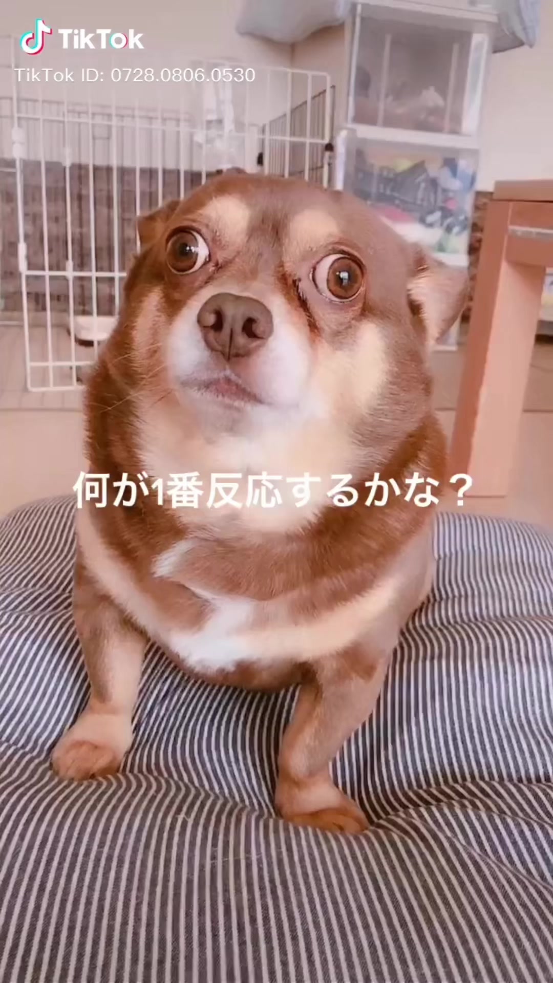 @たっちゃん。