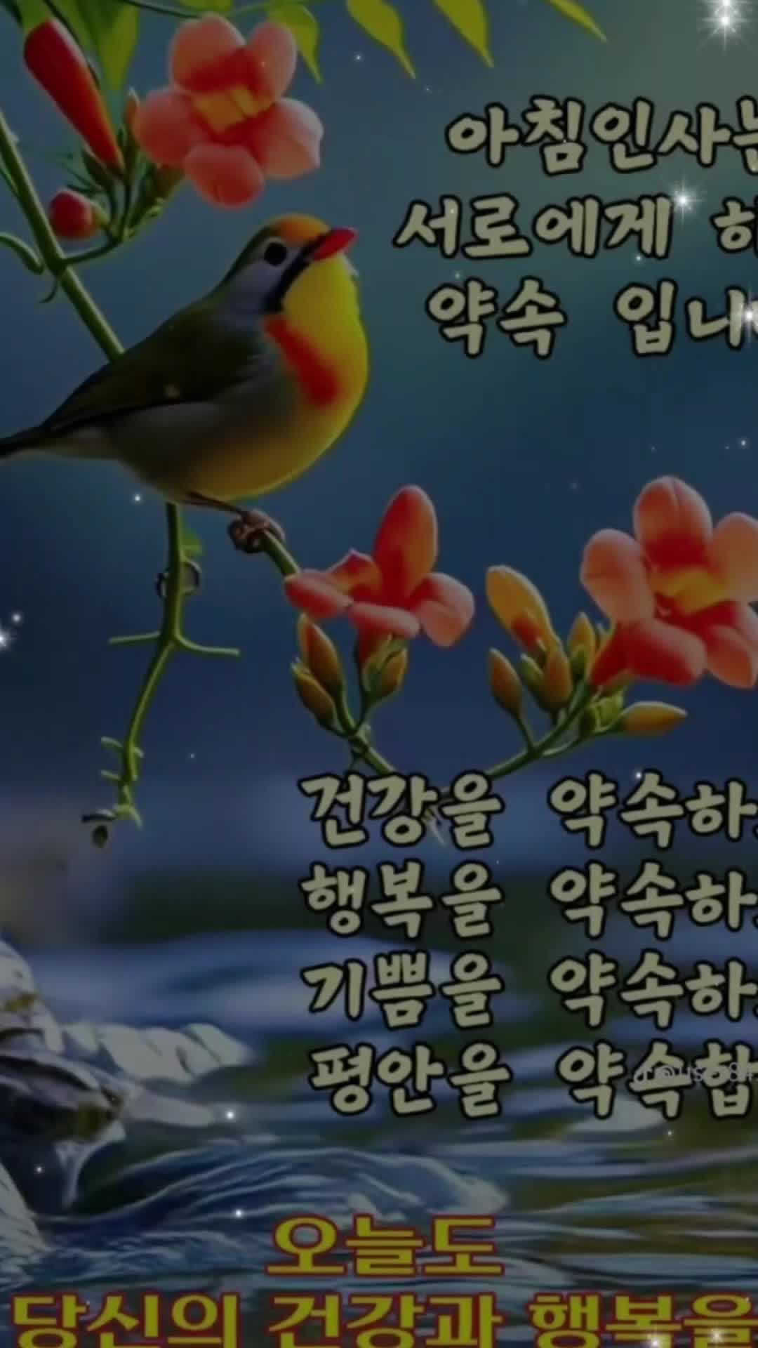 @안선희 (서울)
