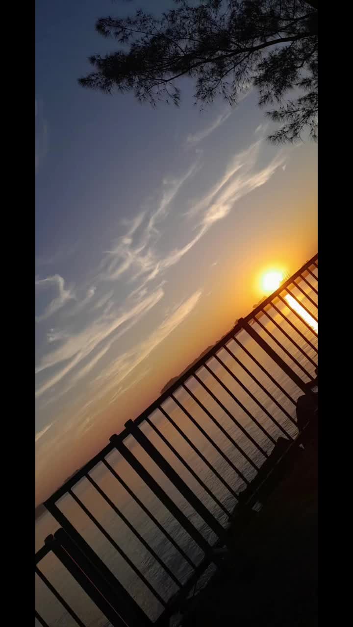 @shxuni_boii
