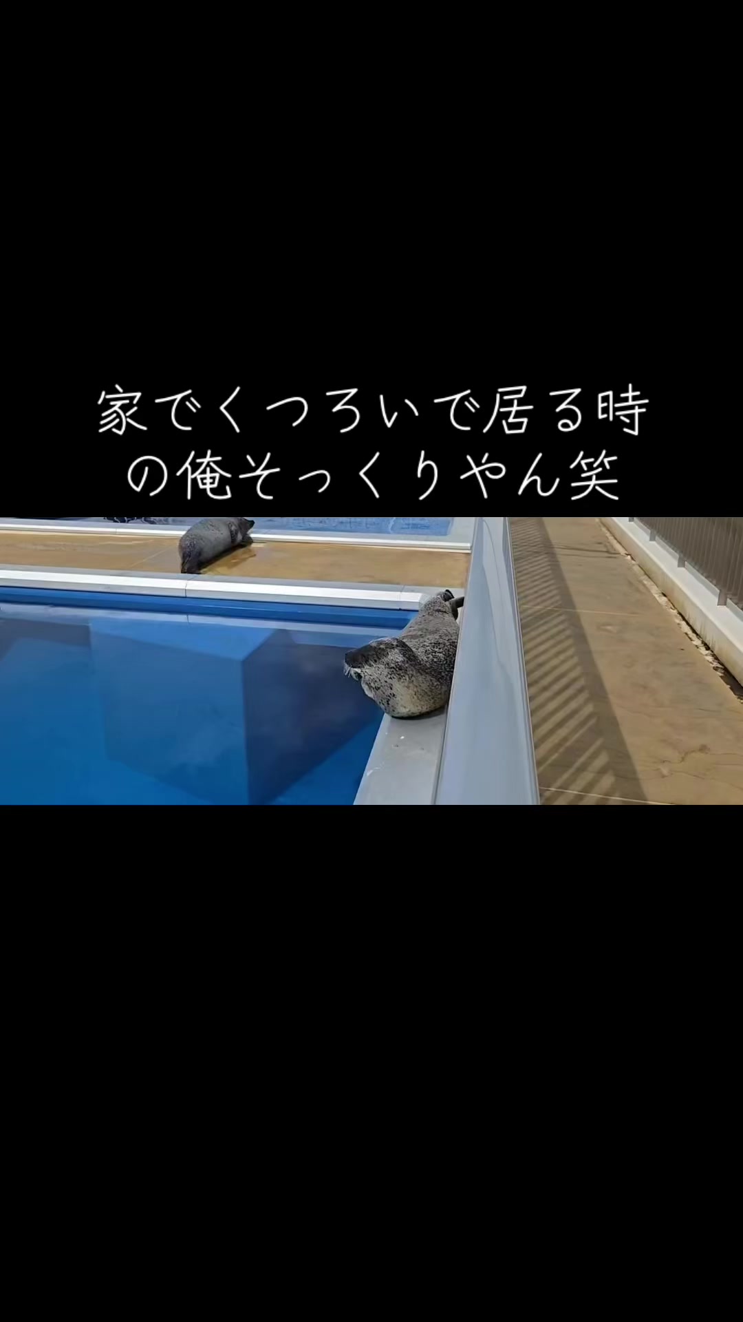 @すぎさん