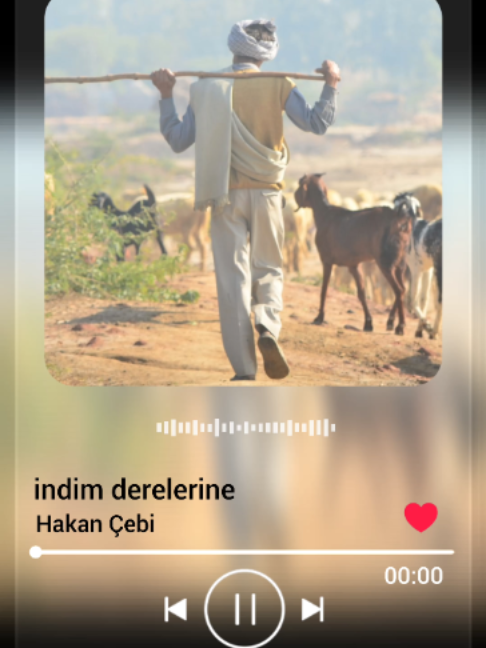 @Hakan &Ccedil;ebi