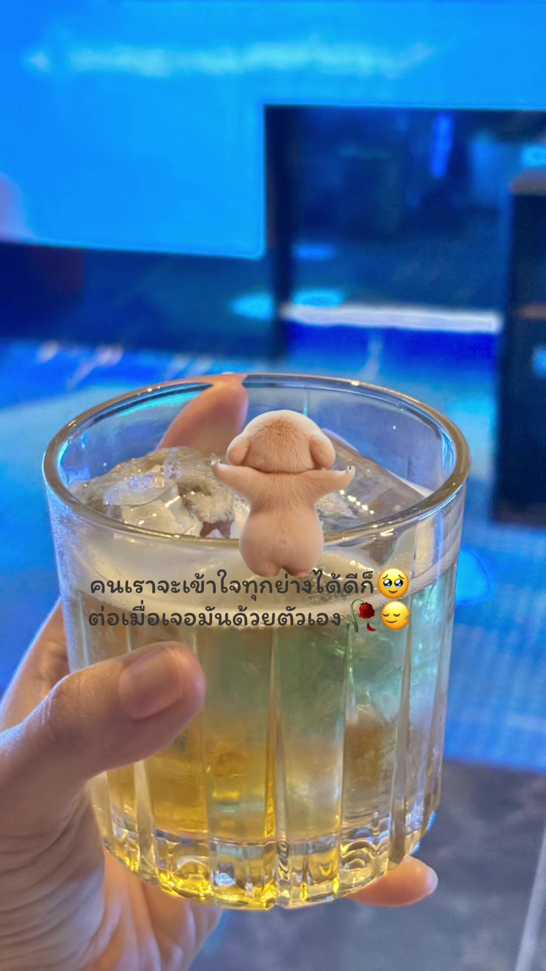 @💦Pxim💫🦋