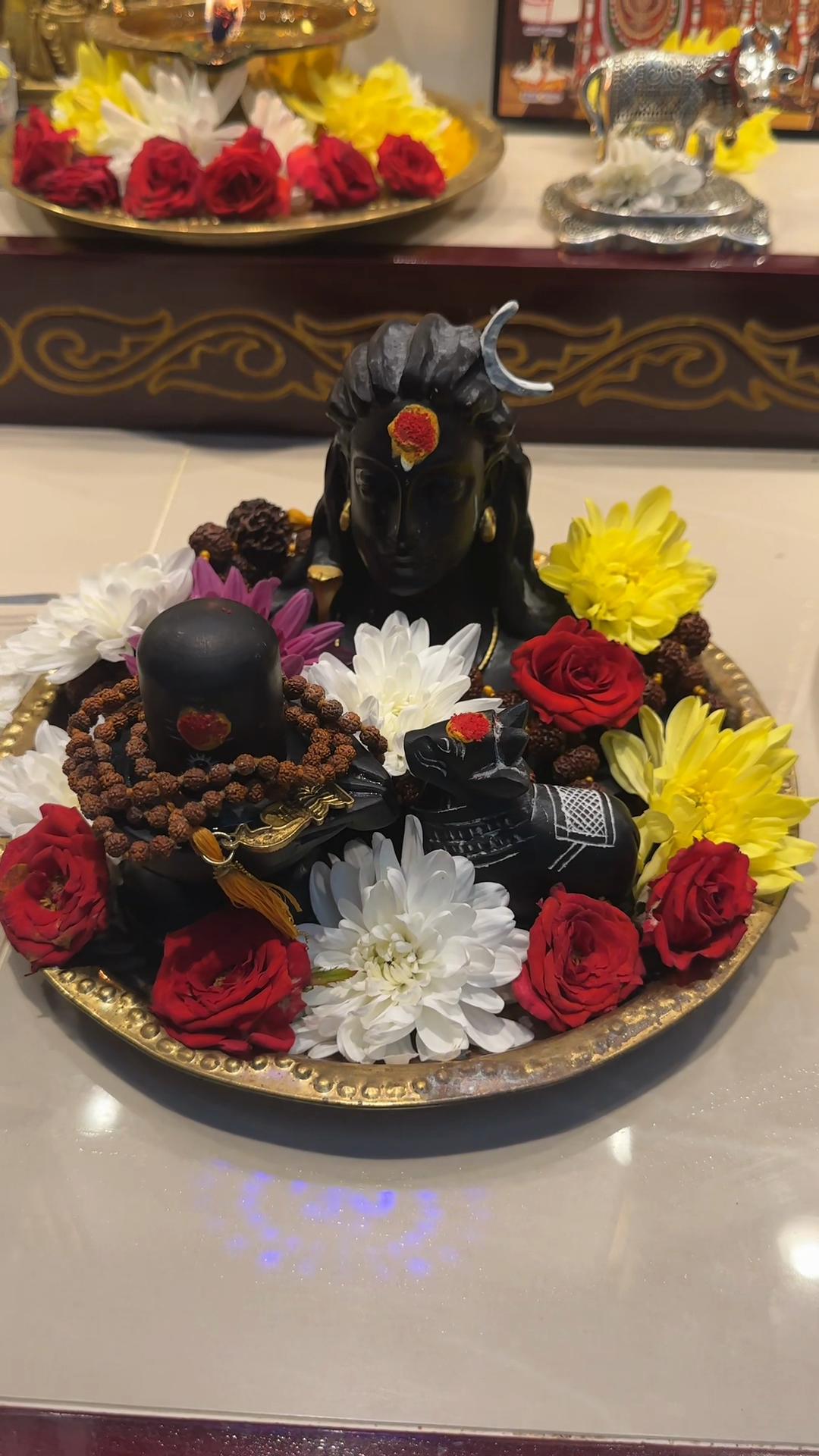 @சிவாணி🌙