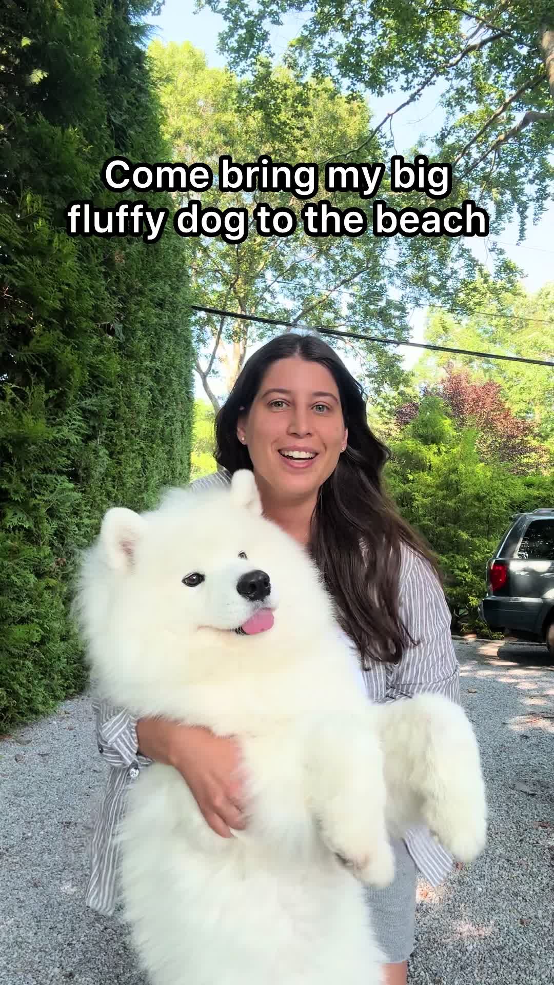 @littlebearlumi