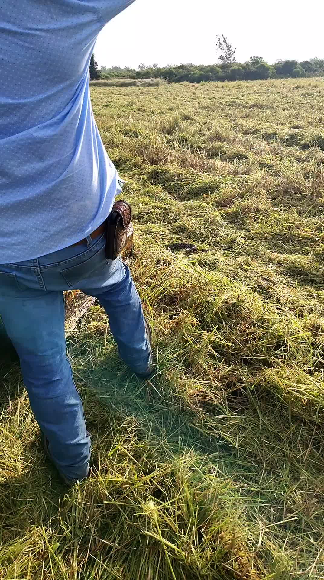 @(BESAÍ)) EL NUS 🦨🇸🇻503