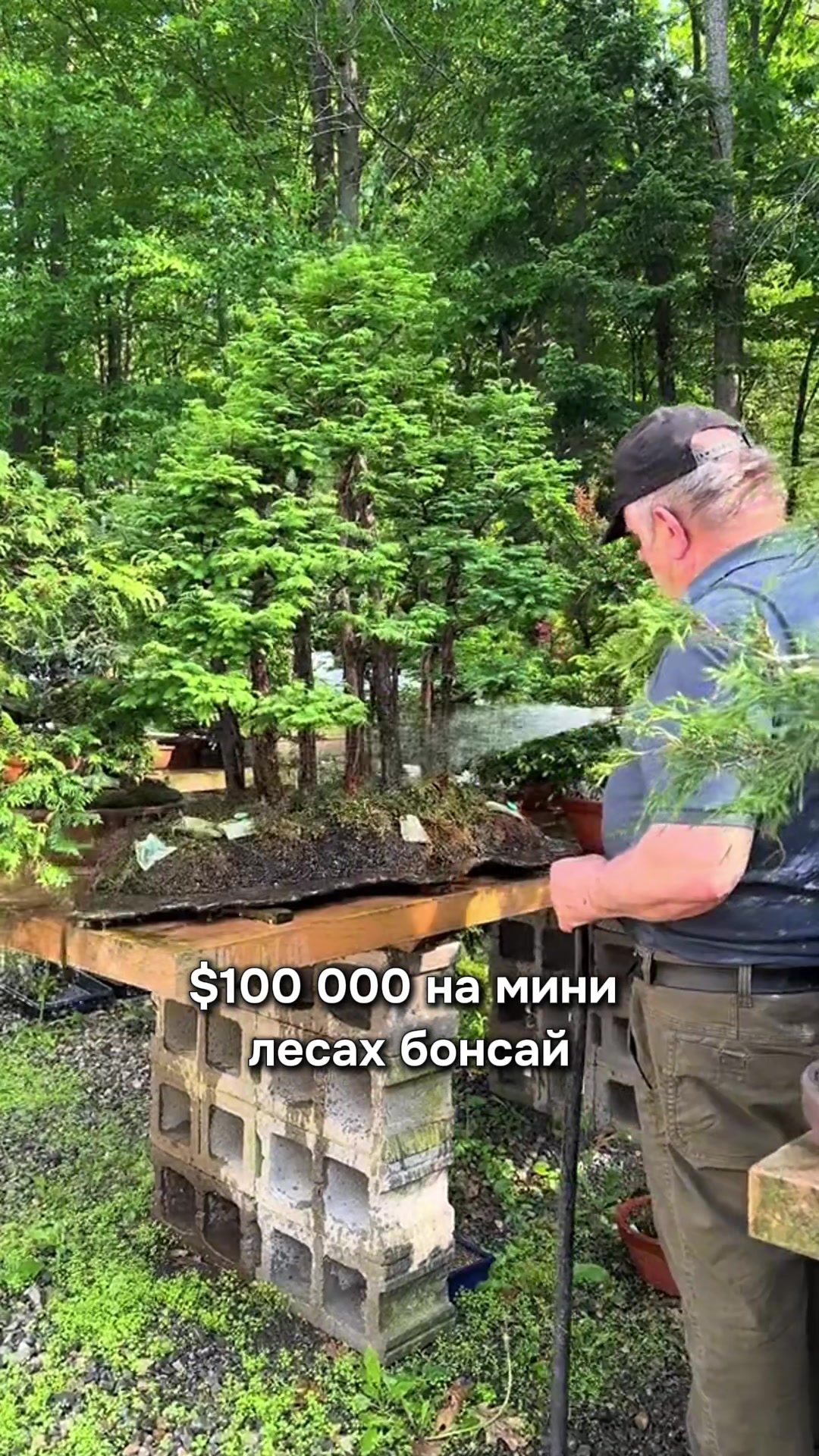 @Igor Ganea