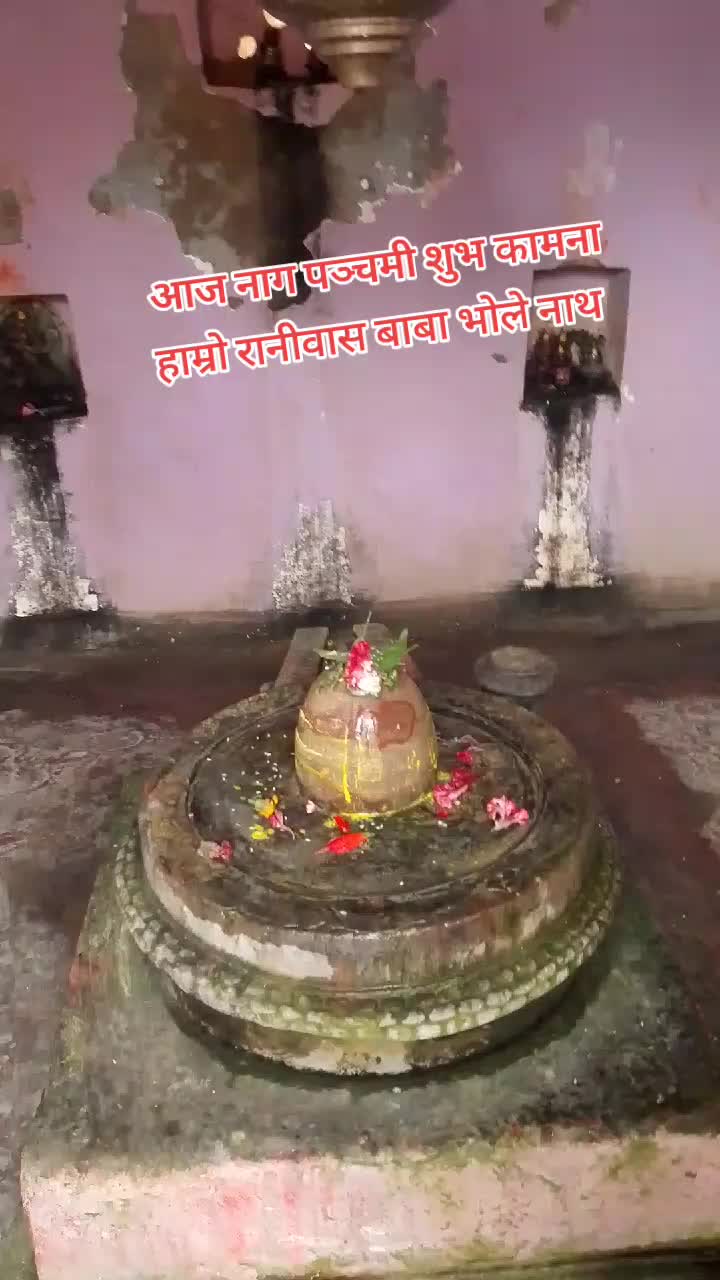 @🇳🇵🇲🇾RAJAN THAKUR 07🇳🇵