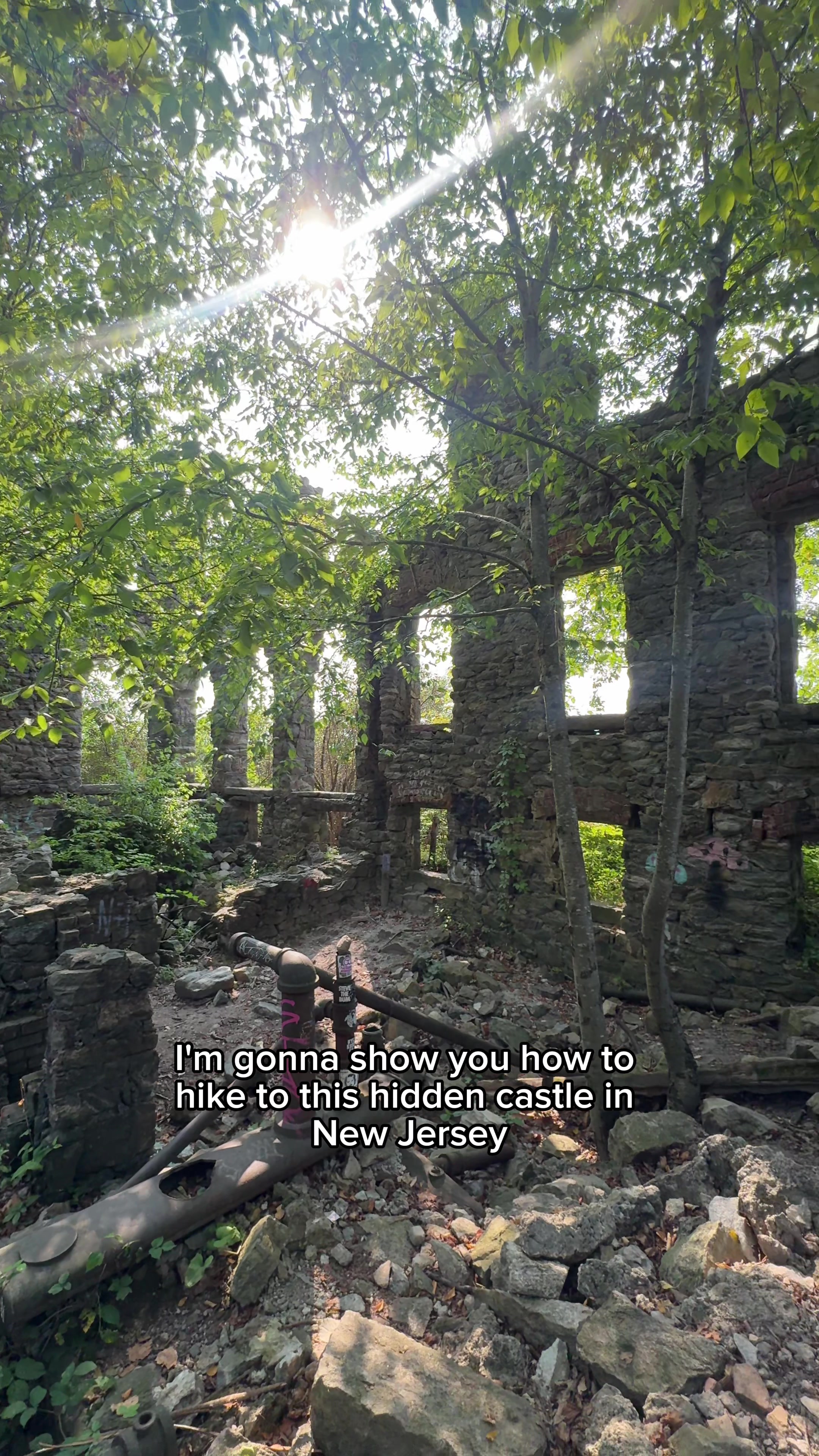 @your new jersey bestie