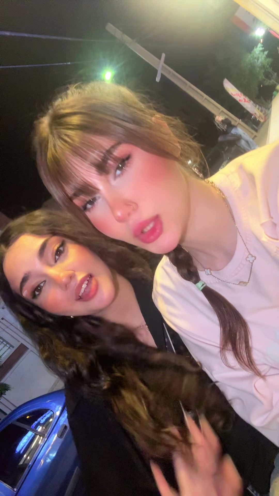 @Negin🩵