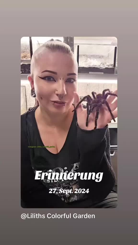 @🐍🐍Snake🐍eye🐍🐍🕷🐊🦎🐢