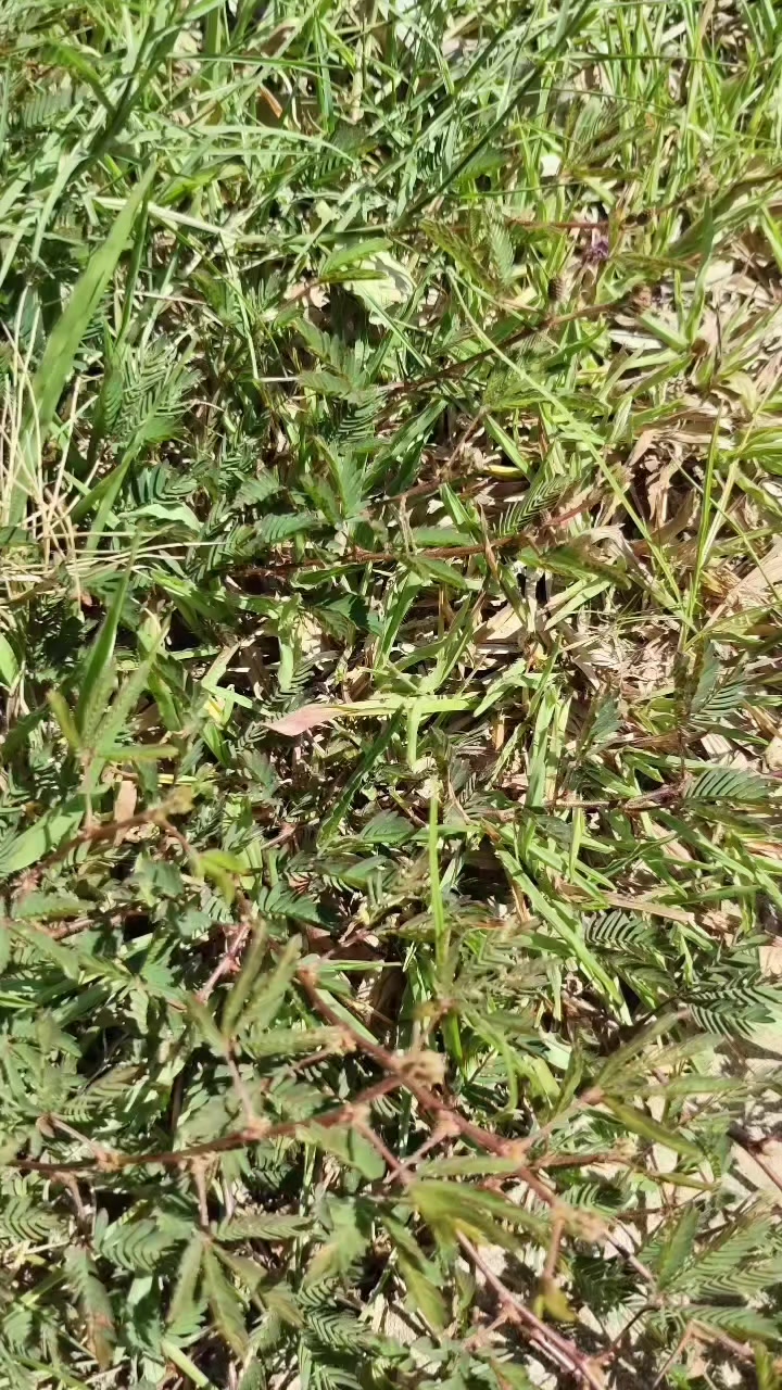 @Tố Quy&ecirc;n