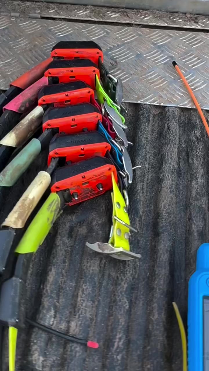 @CHASSEUR.COM