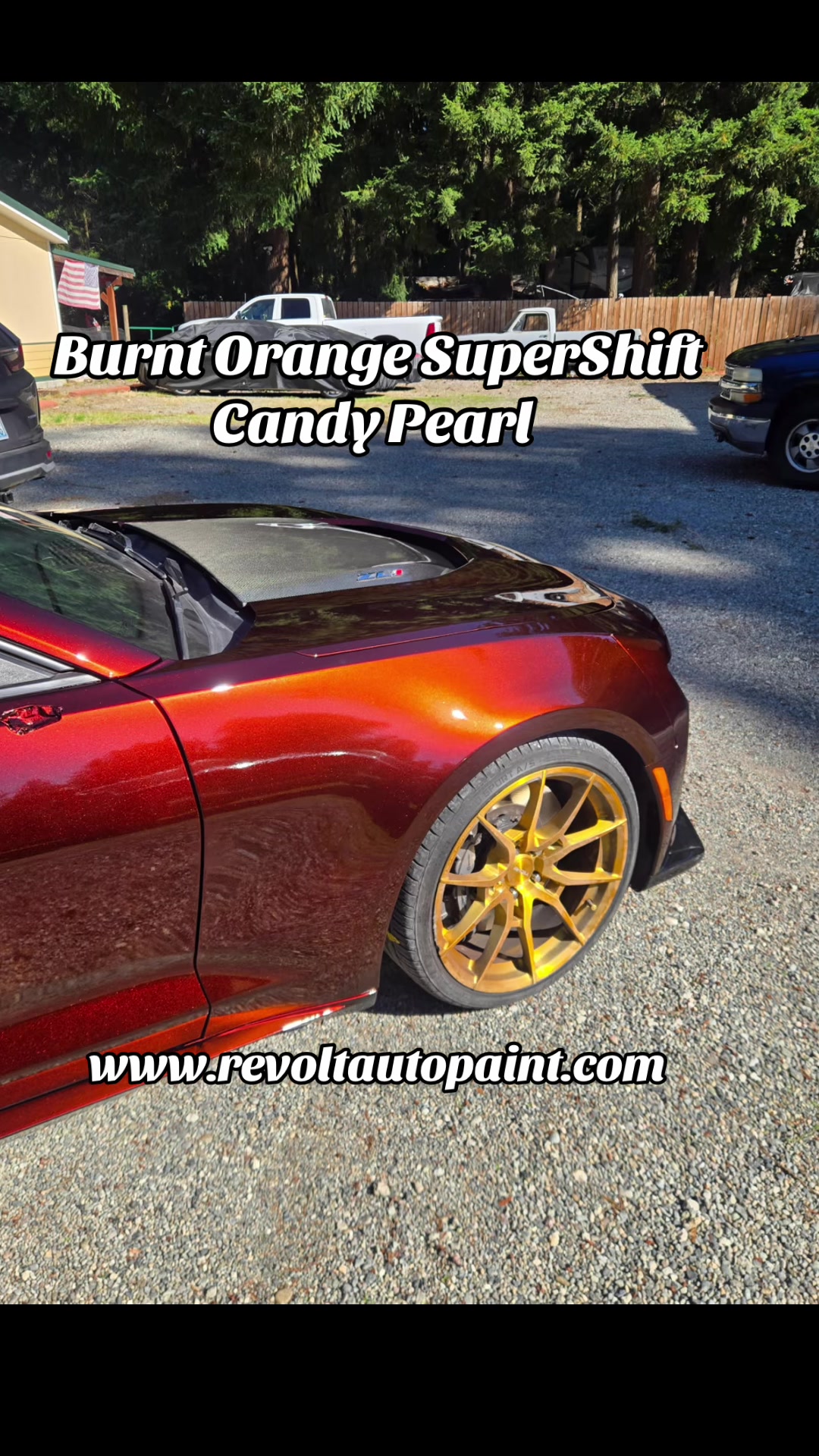 @revoltautopaint