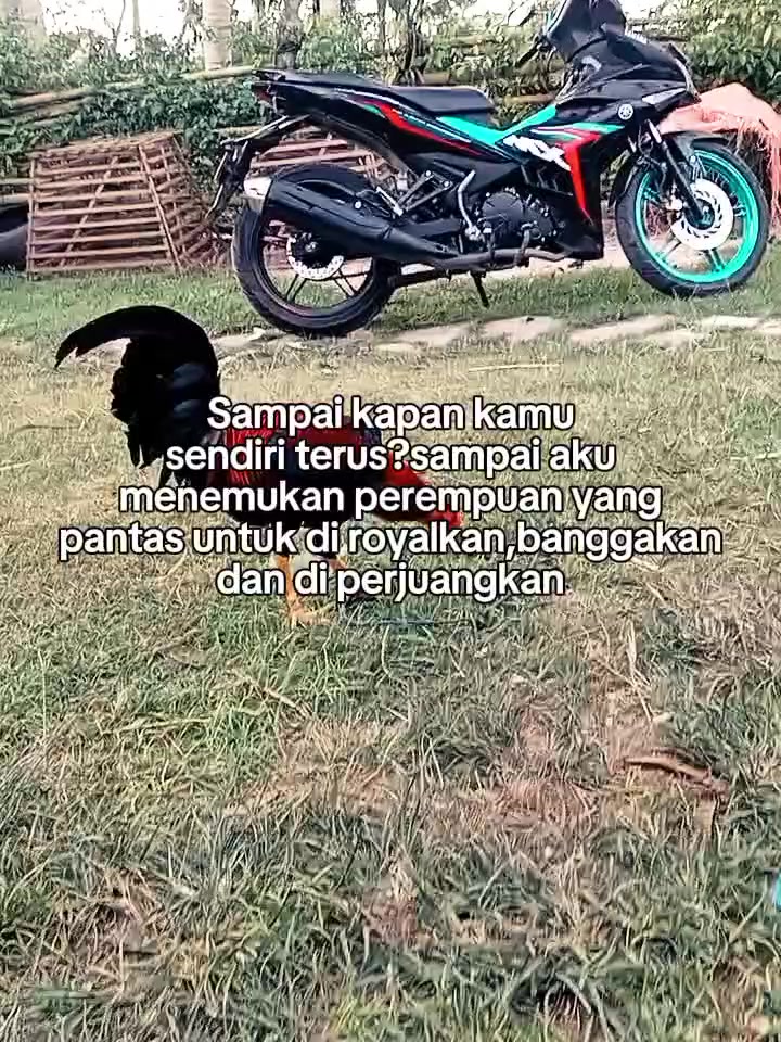 @Fandi lamatenggo