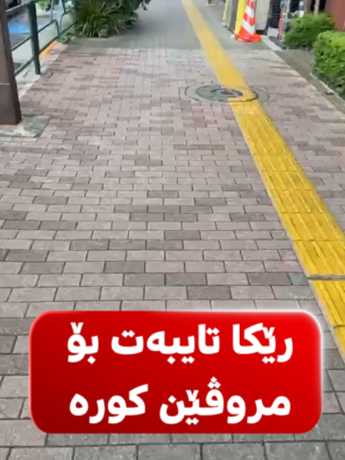 @bizavtv