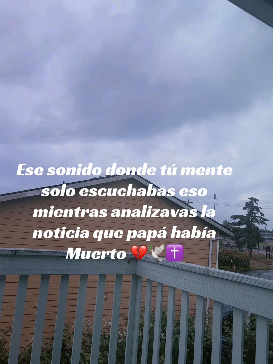 @Yareli Lozano