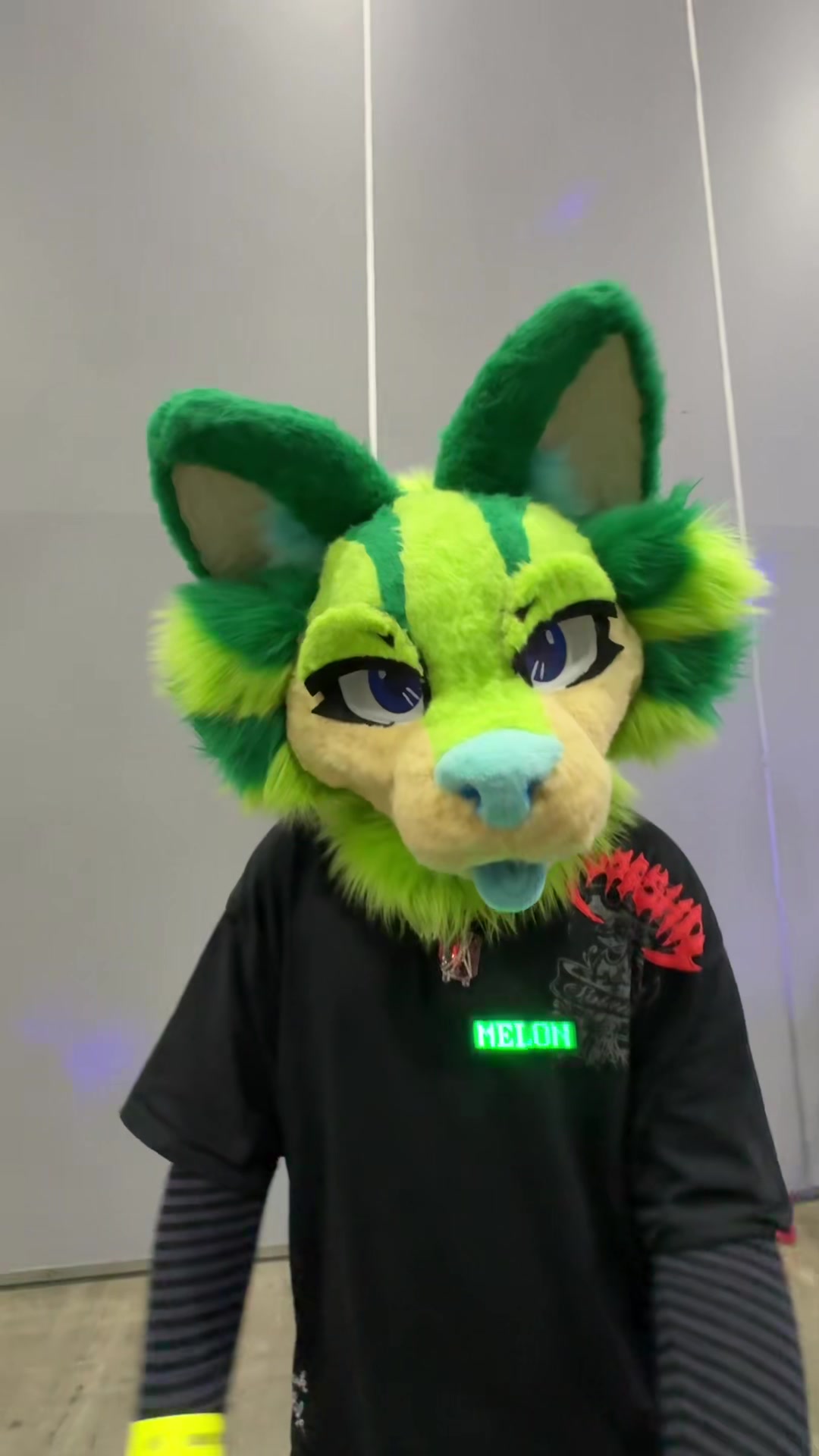 @๐ Melon ๐ ๐ MFMM