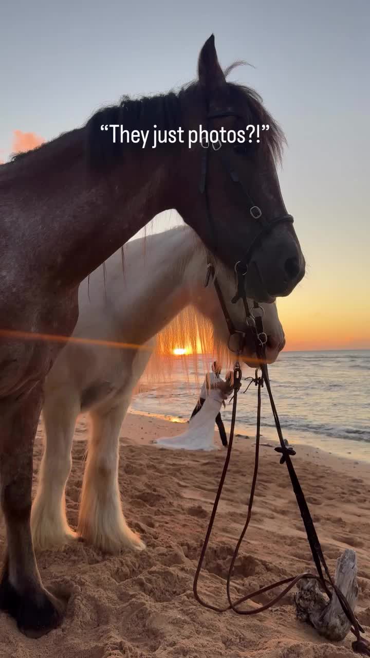 @ThunderGallops