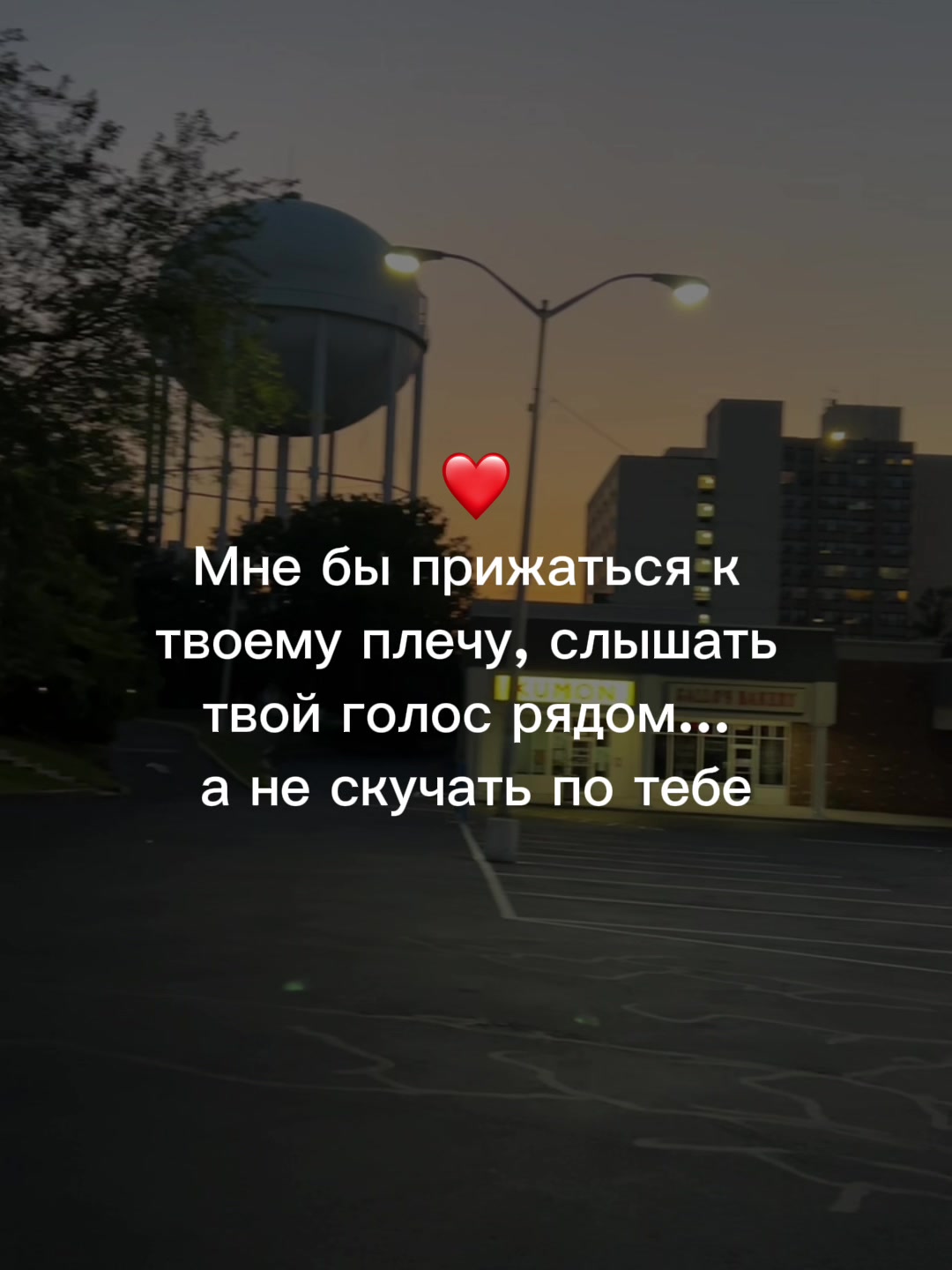 @muzdogz