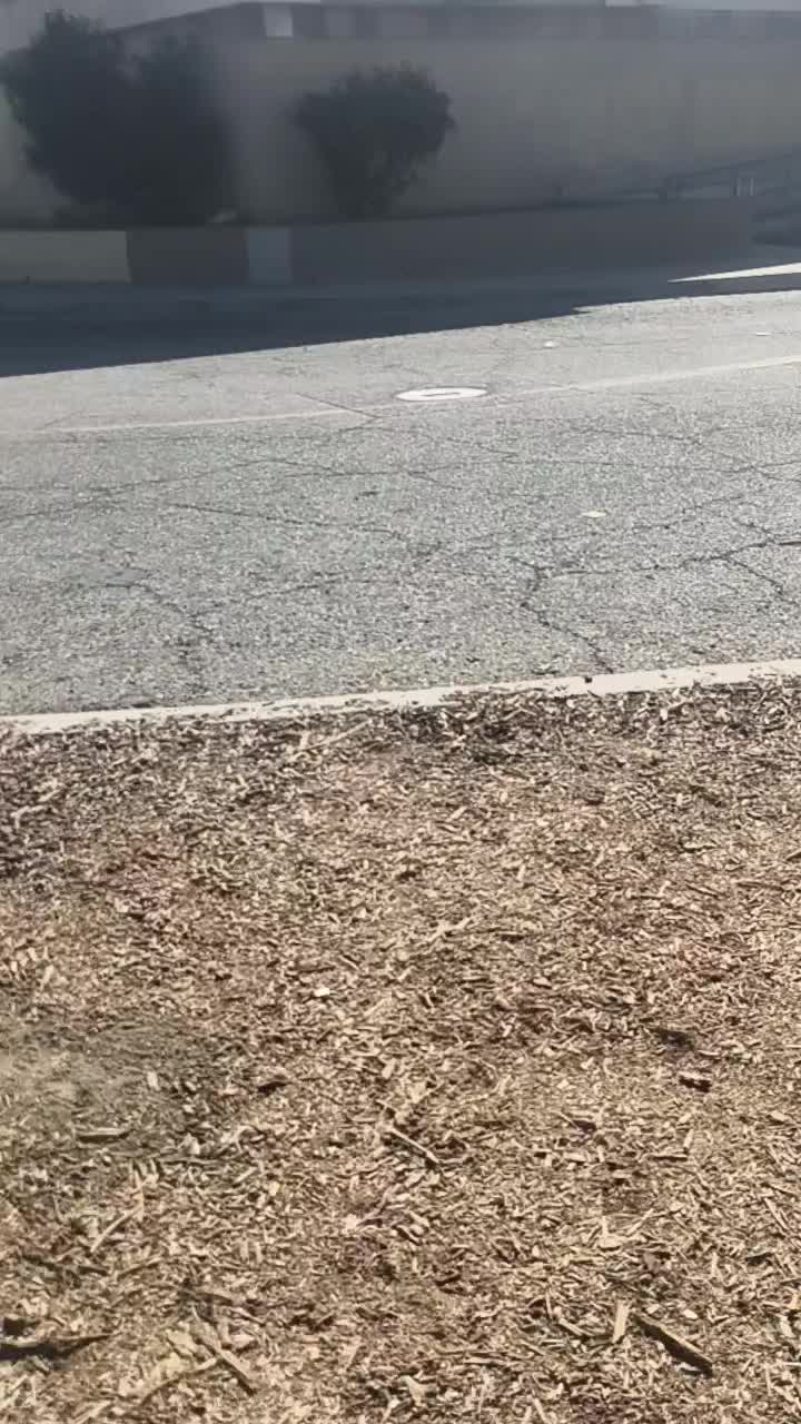 @DIPPINFOO👌🏾
