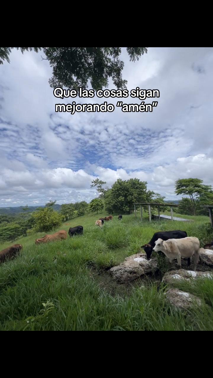 @ALVAREZ 🤠♥️