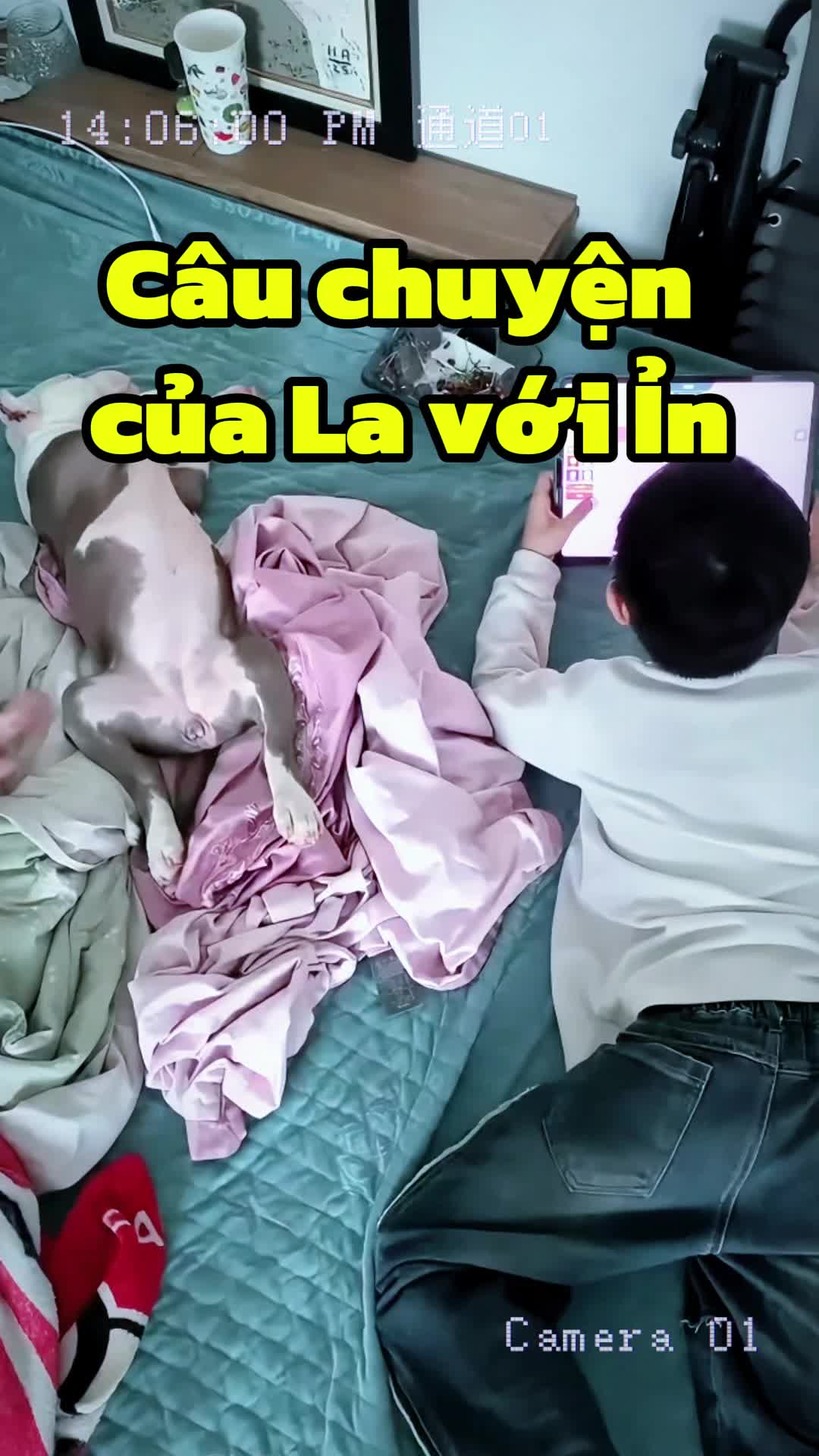 @Vũ Duyên Mart