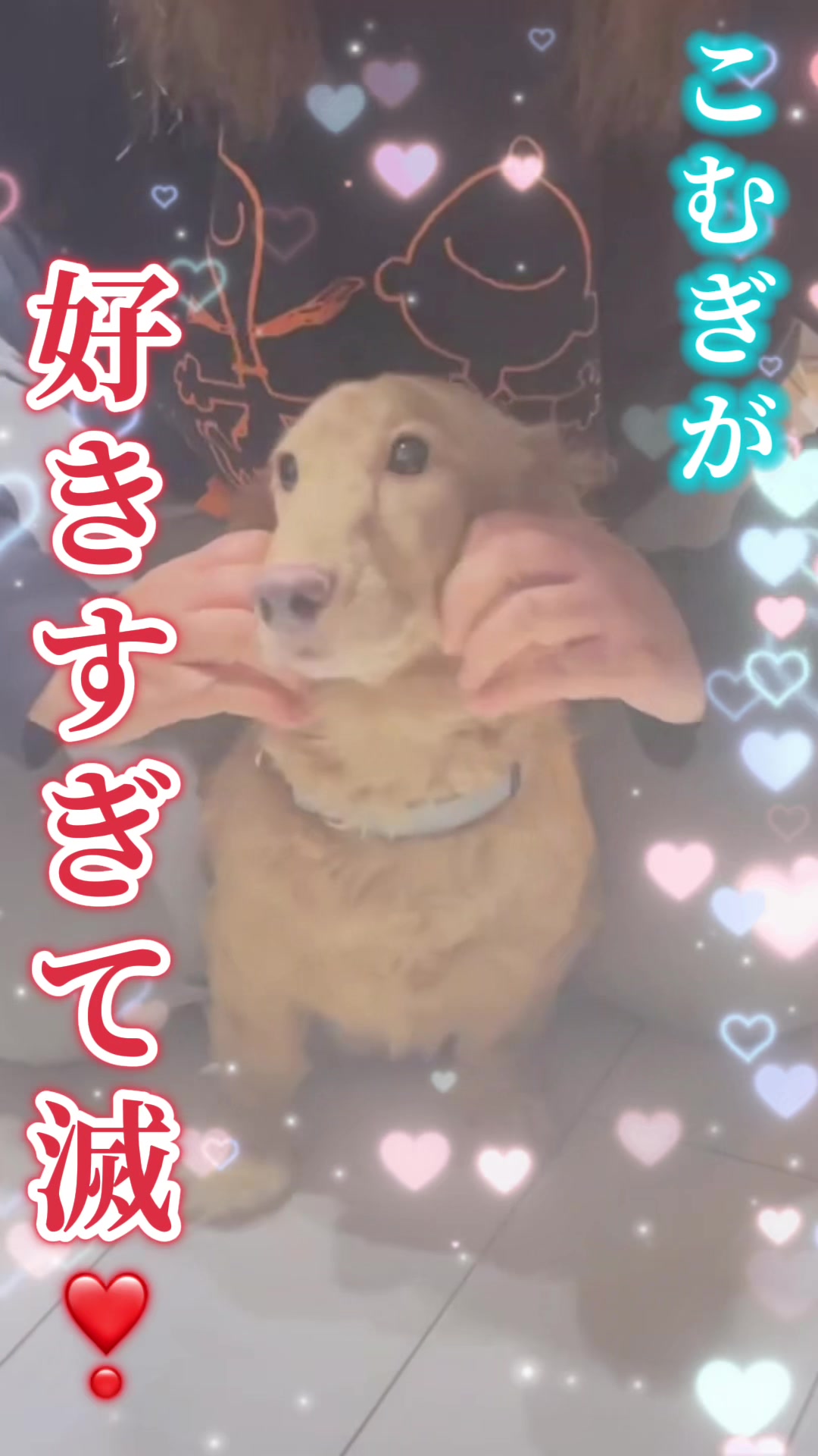 @まいちむ