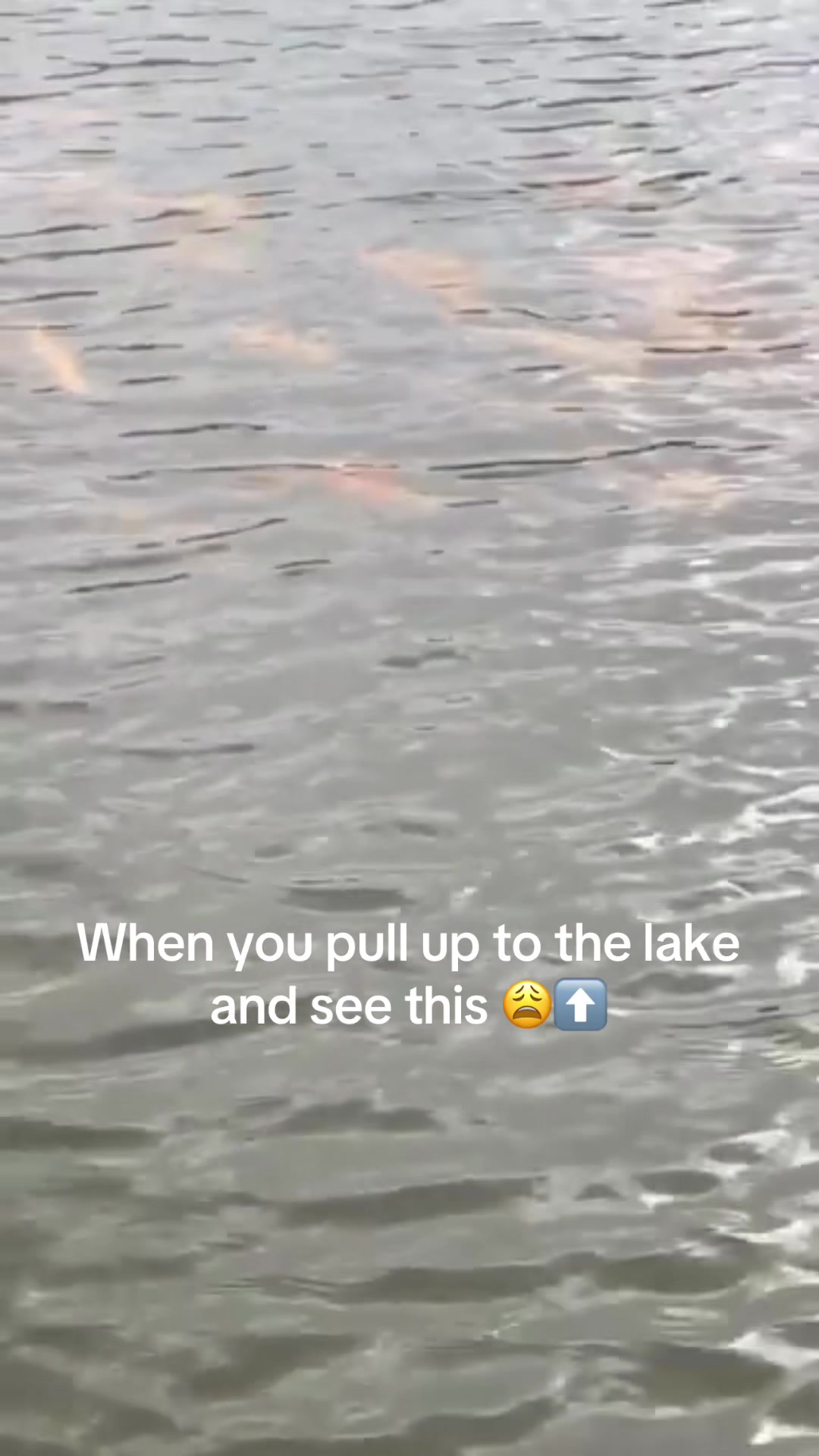 @GetBentKustomz