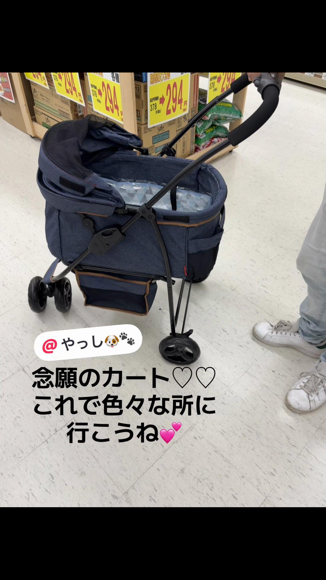 @Toshimi0923🐶🐾