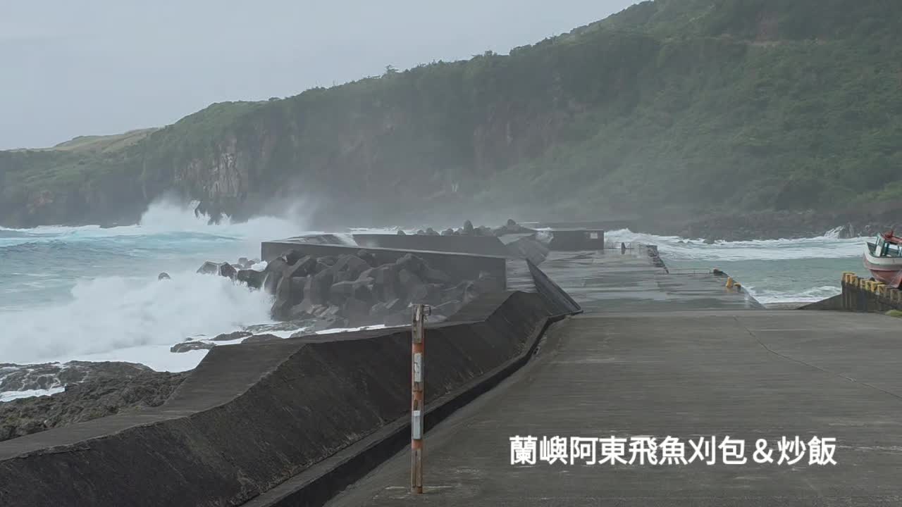 @蘭嶼阿東飛魚刈包(創始店)椰油77號