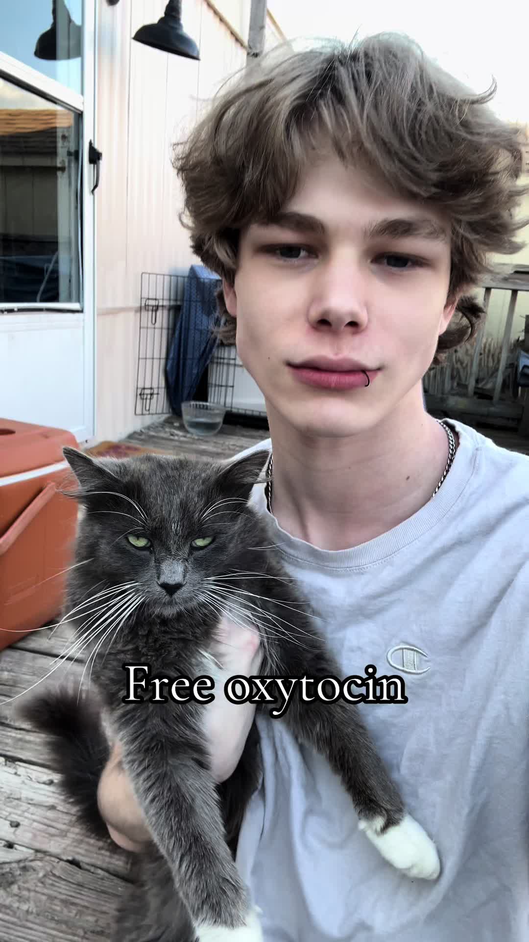 @Reverie