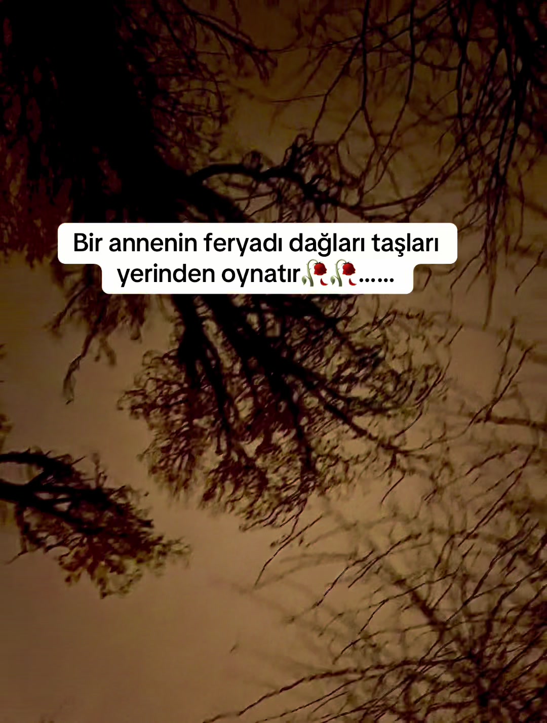 @Adem &Ccedil;elik