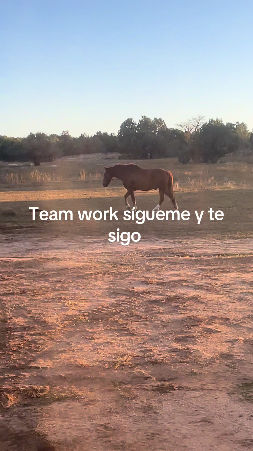 @Ram.gaming
