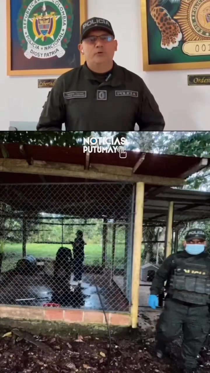 @Pasión Animal Tv
