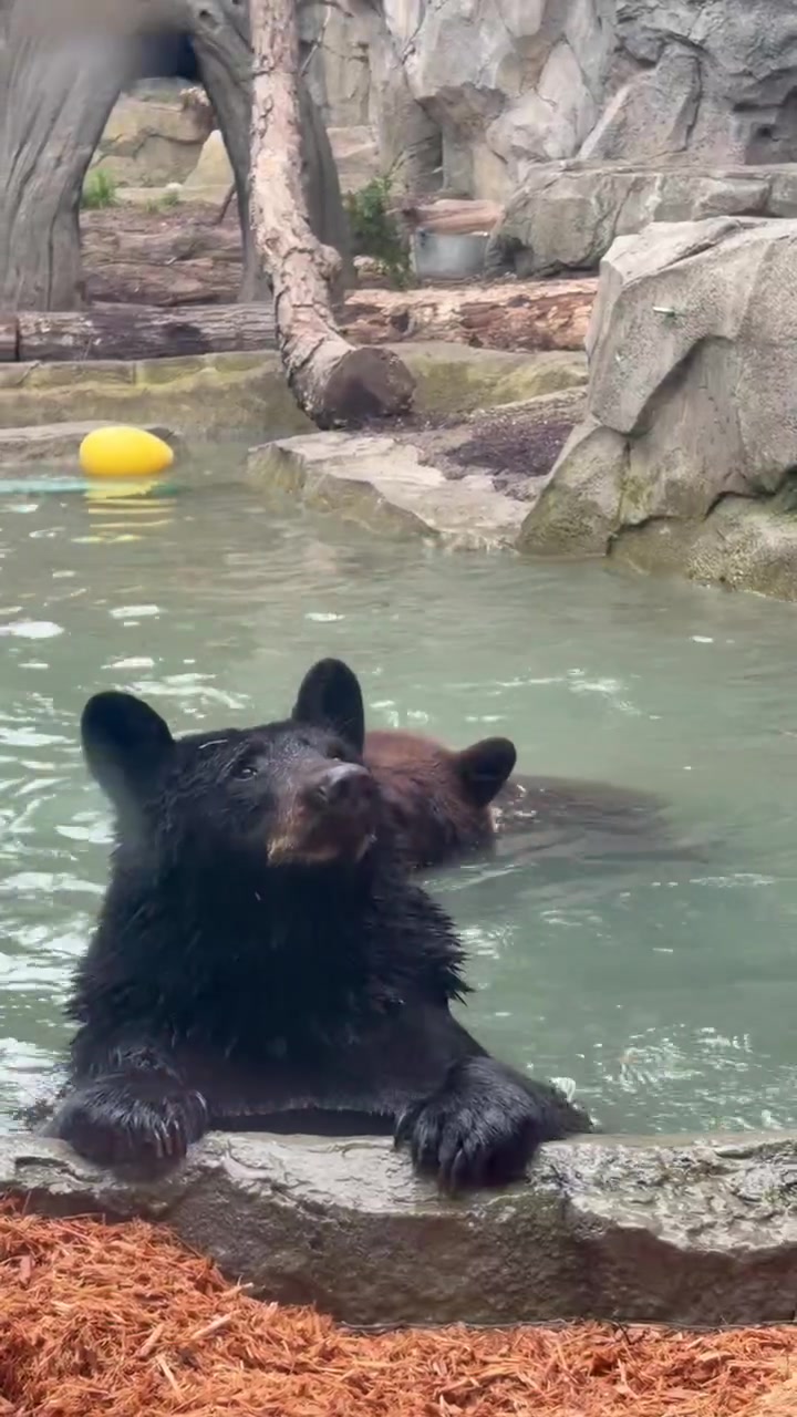 @Cincinnati Zoo