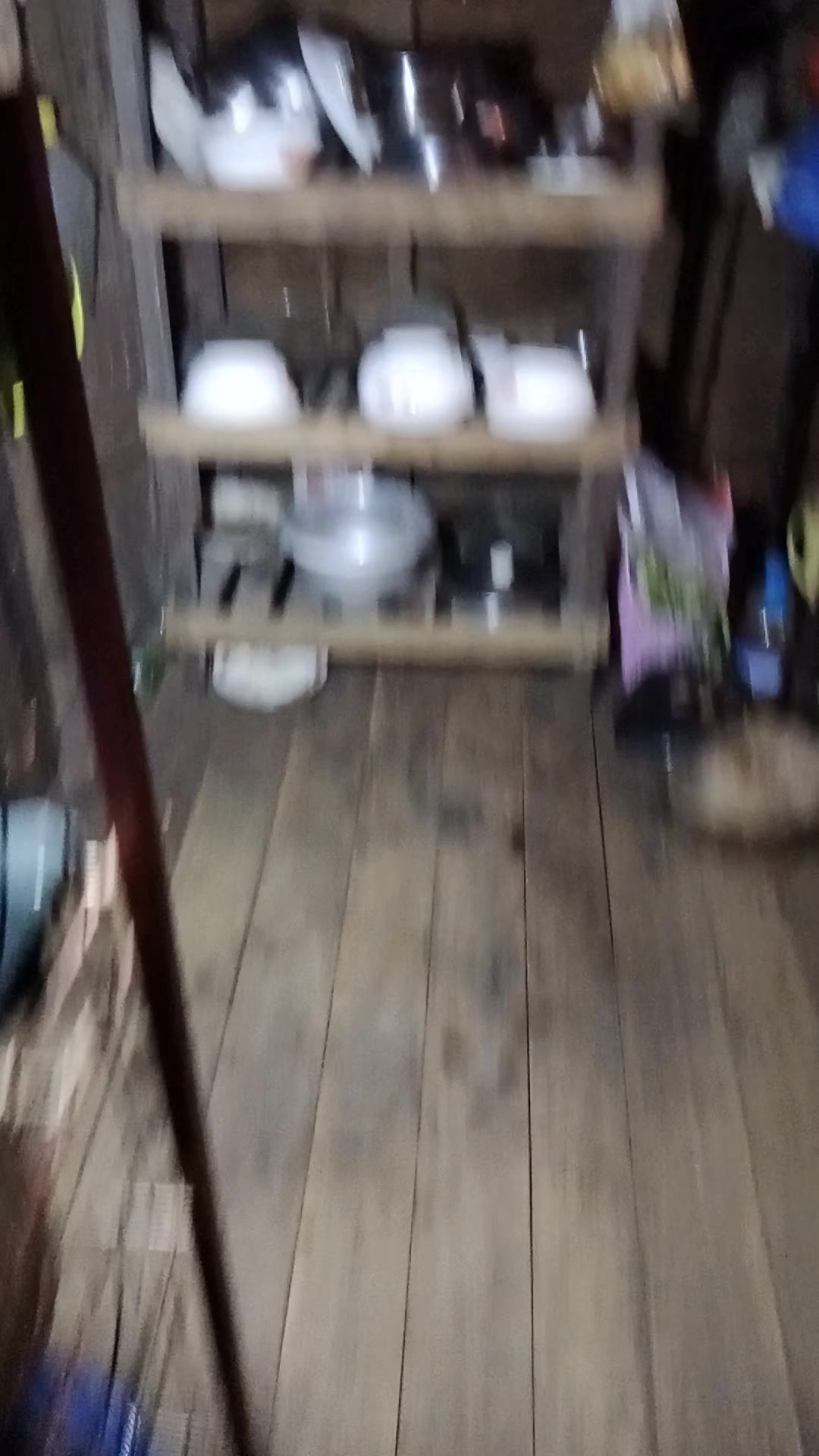 @đŚááąáŹááşá¸đŚ